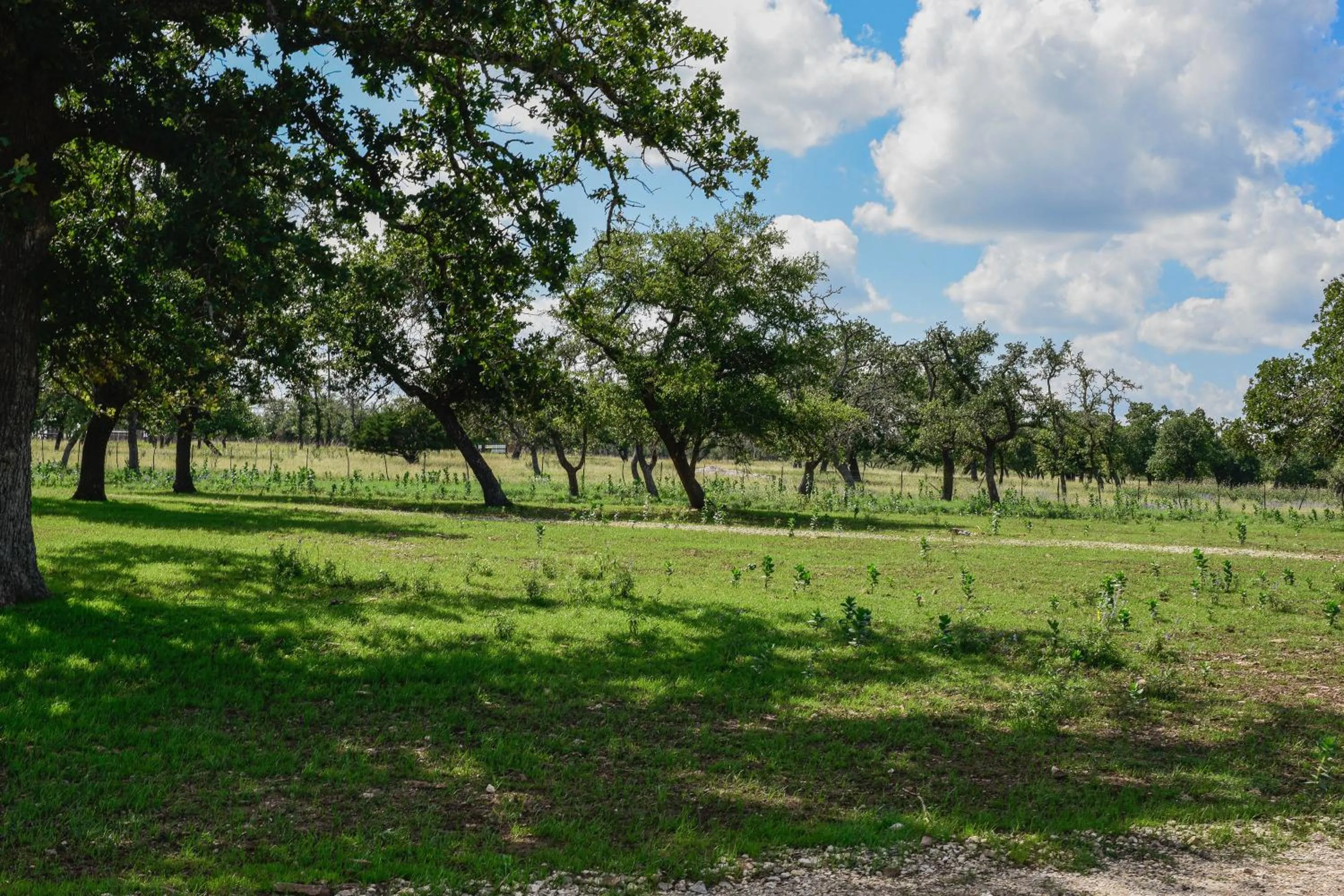 Natural landscape in Best Little Fredericksburg Texas Bed And Breakfast