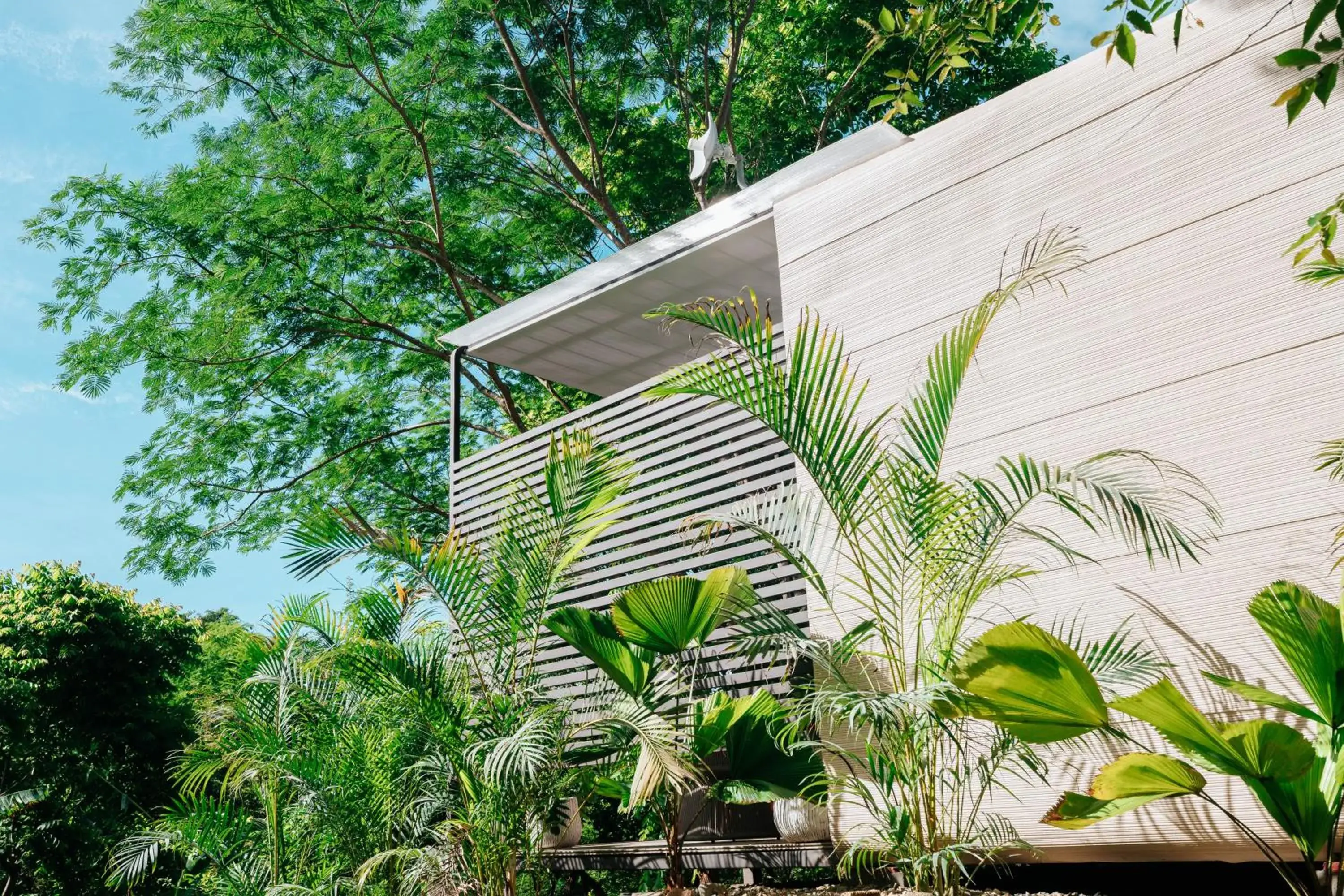 Property building in Alaya Yoga & Surf & Retreat Property building in Alaya Yoga & Surf & Retreat