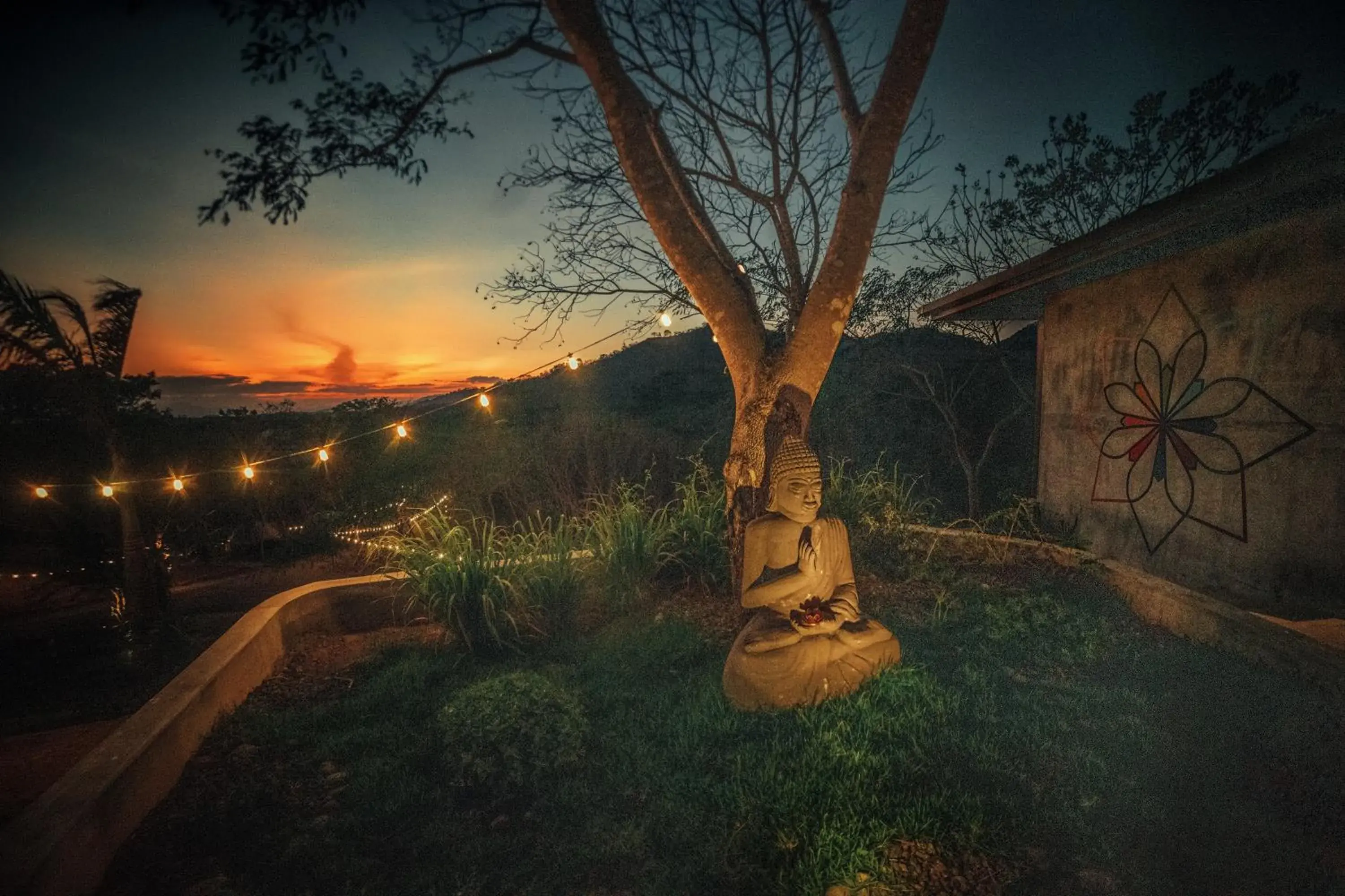 Restaurant/places to eat in Alaya Yoga & Surf & Retreat Restaurant/places to eat in Alaya Yoga & Surf & Retreat