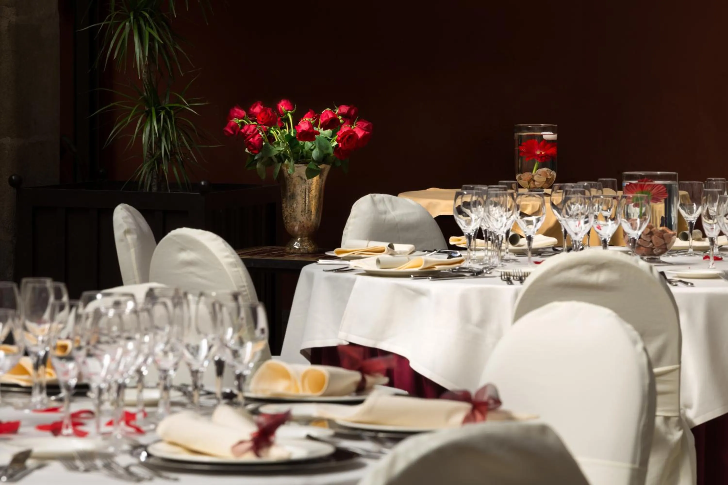 Banquet/Function facilities in Izan Trujillo