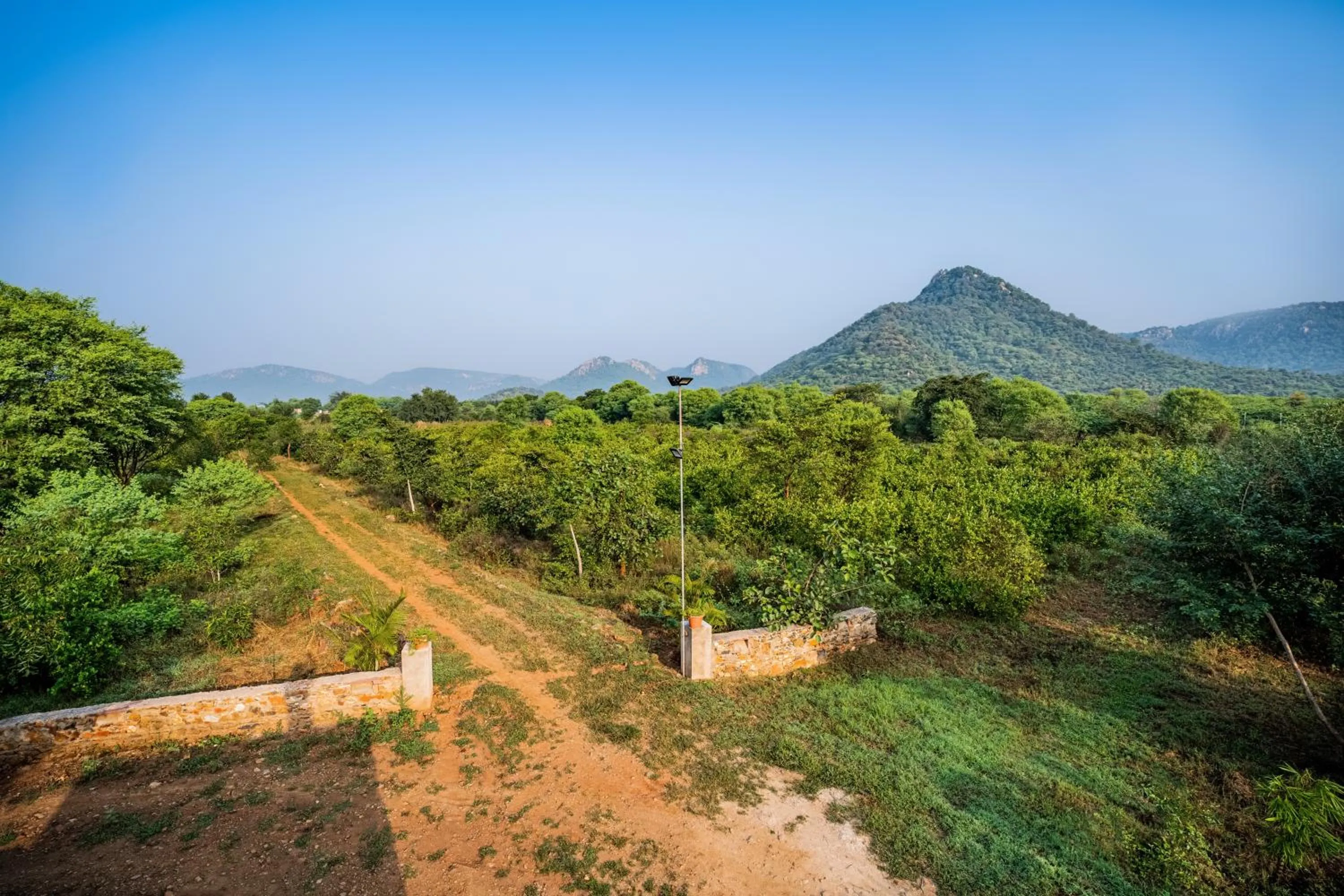 Natural landscape in Guldaar Sariska - A luxury Forest Resort