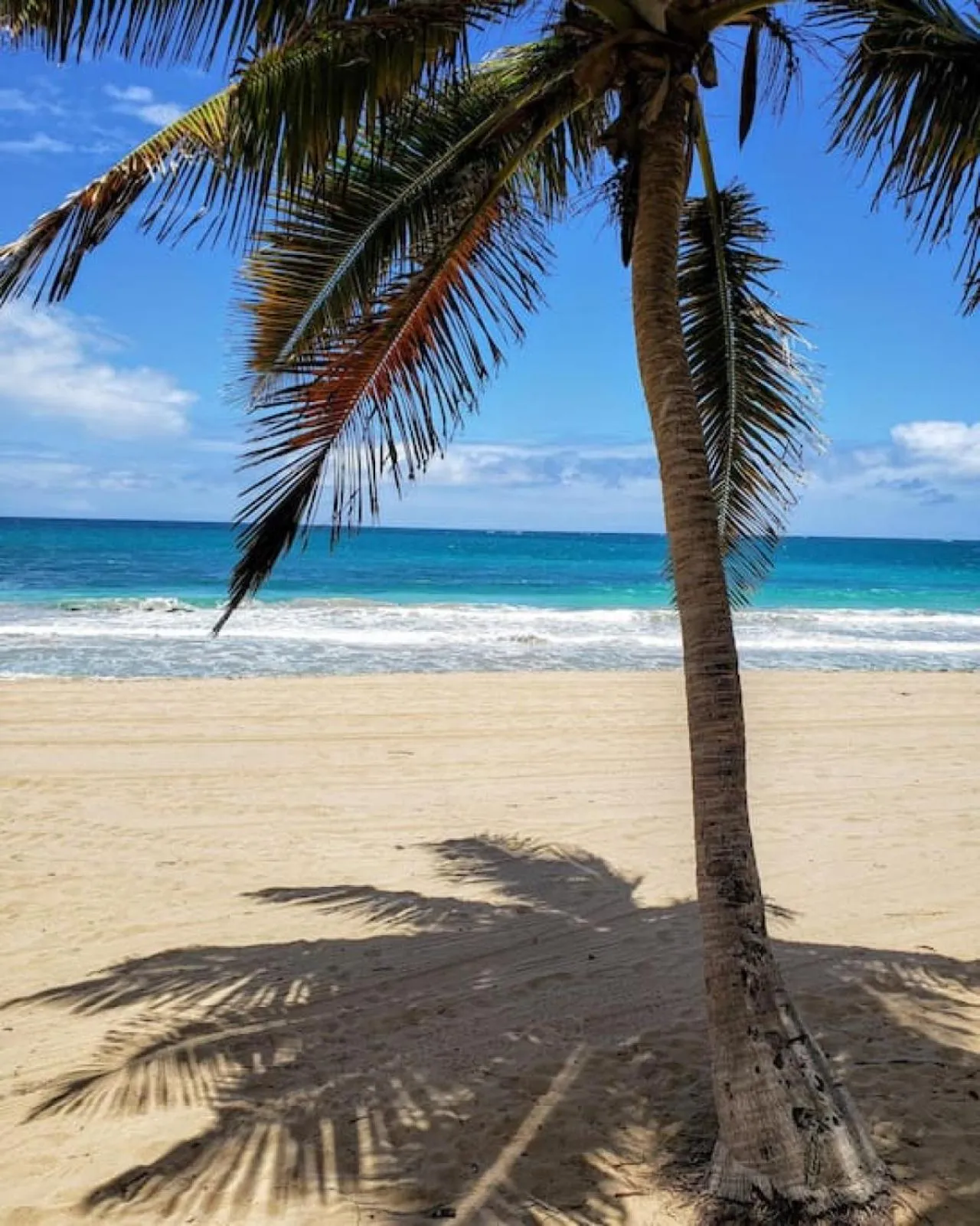 Beach in KASA Terrace Studio Breathtaking Ocean Views
