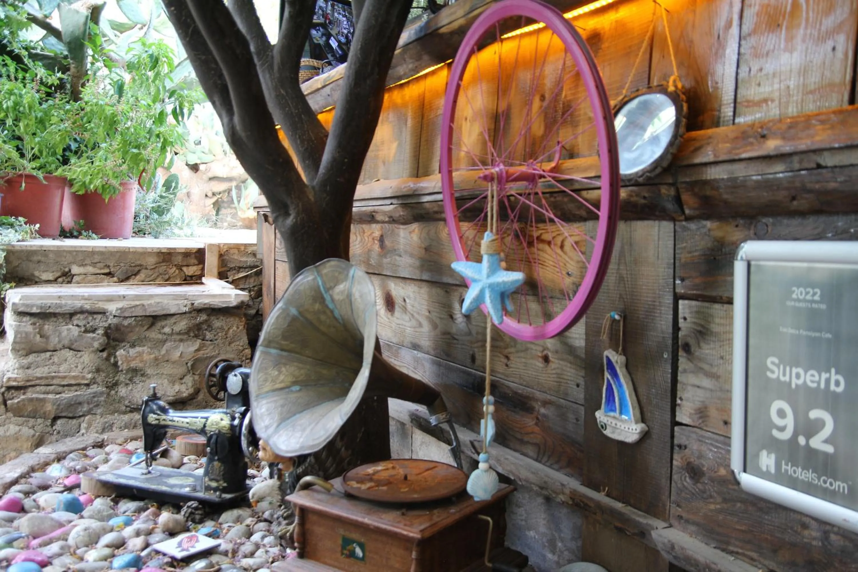 Restaurant/places to eat in Eski Datça Pansiyon