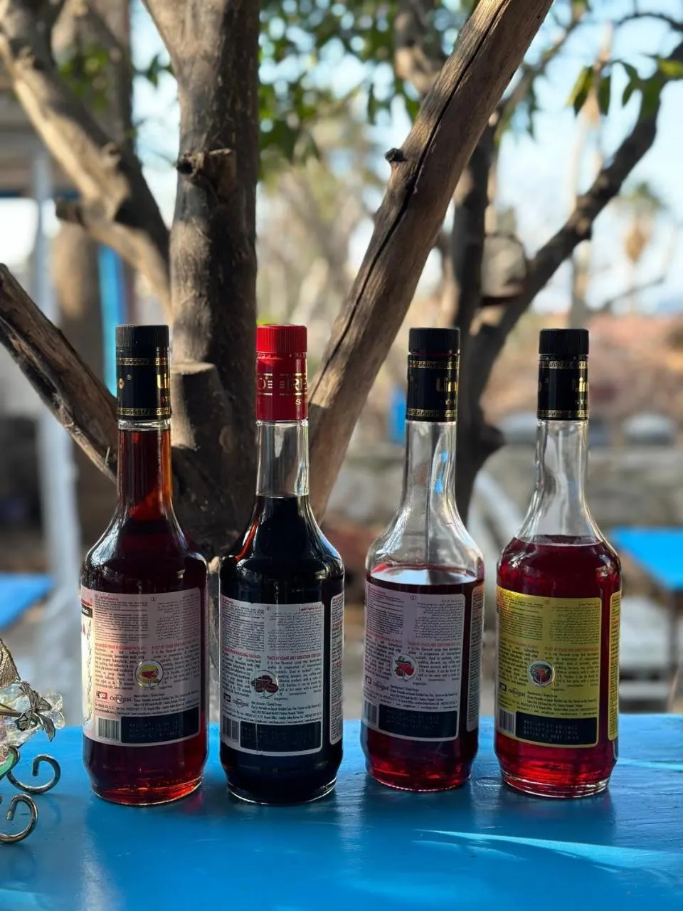 Lounge or bar in Eski Datça Pansiyon