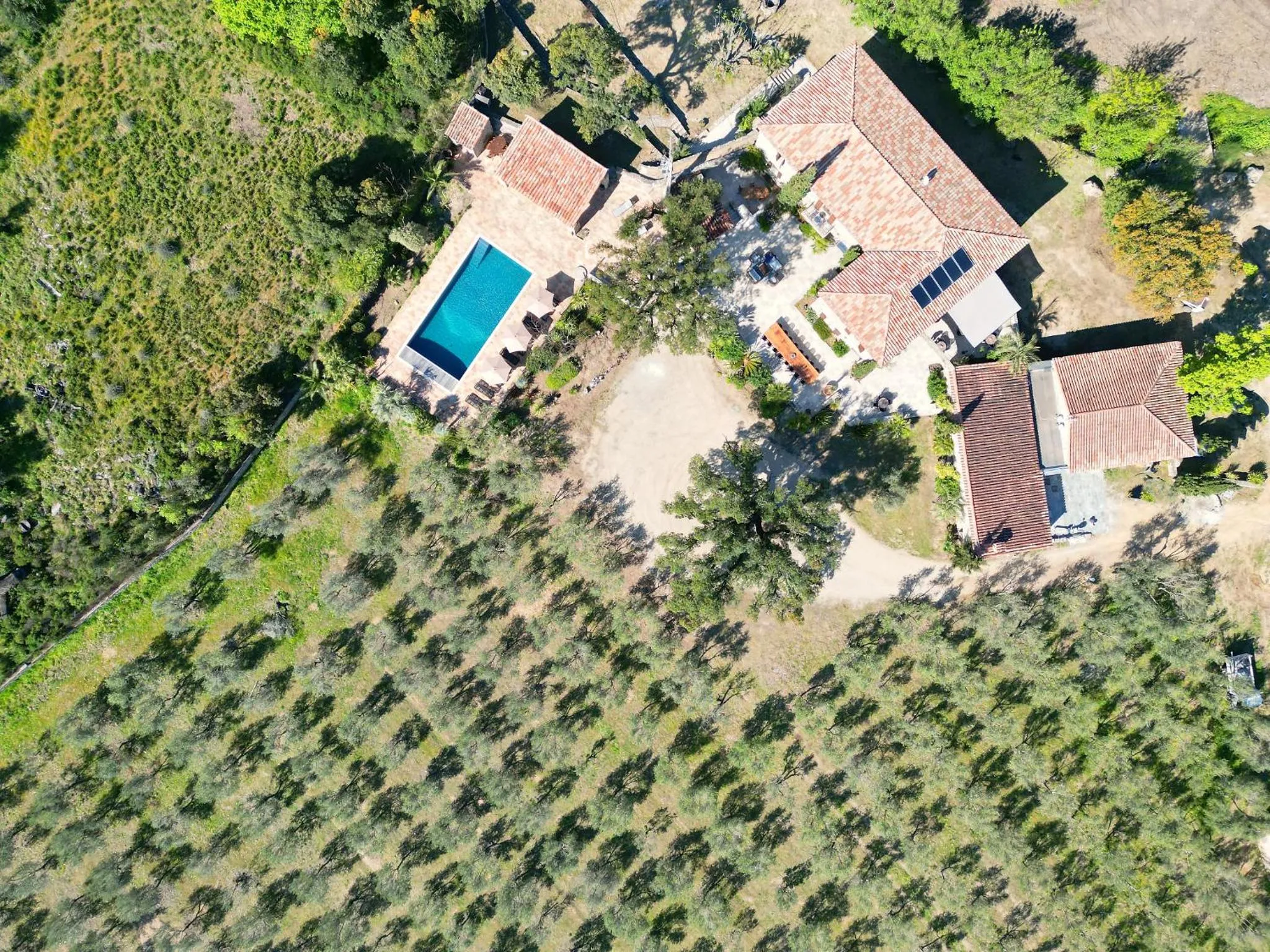 Bird's eye view in Domaine du Reginu