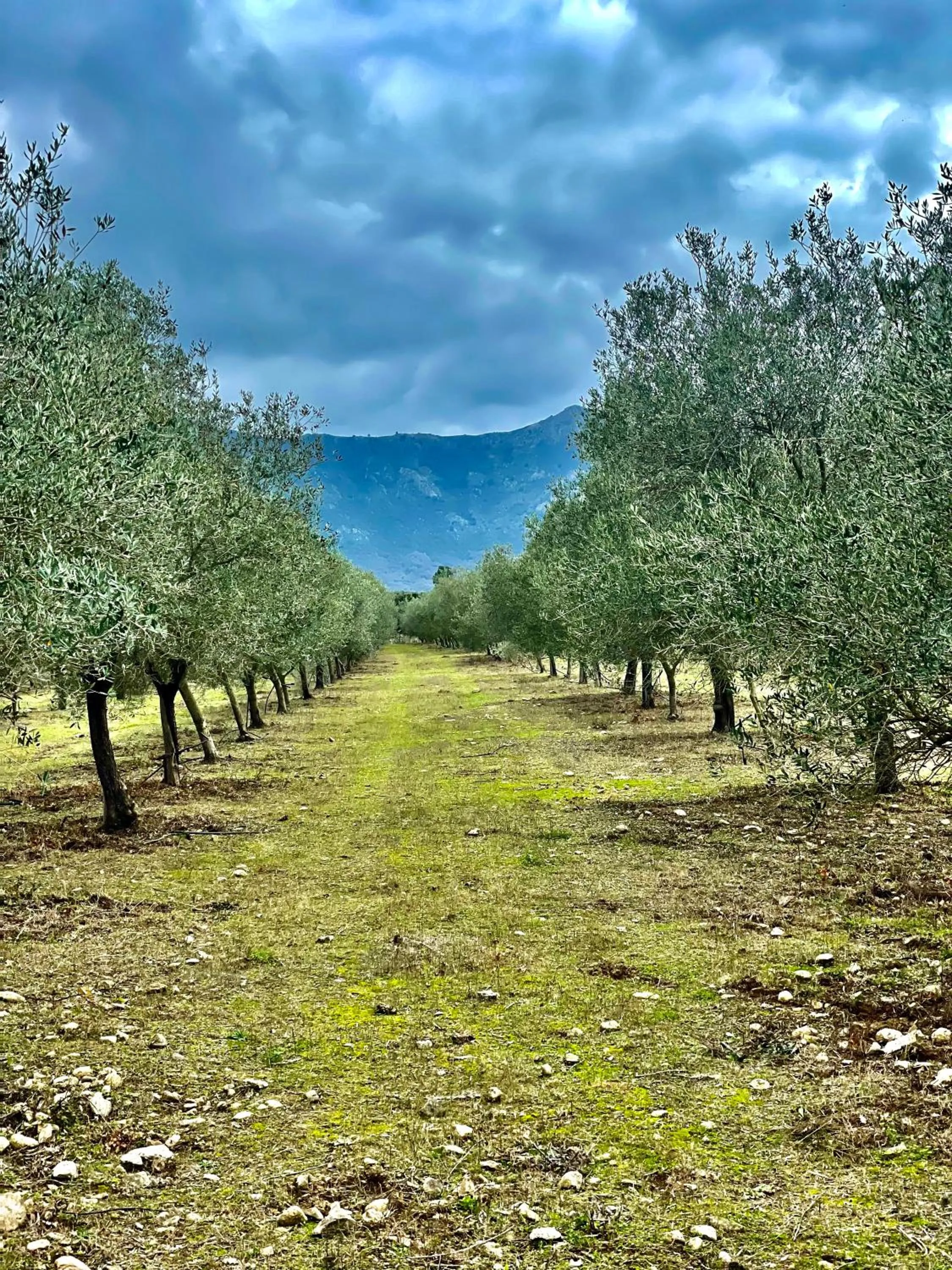 Natural landscape in Domaine du Reginu