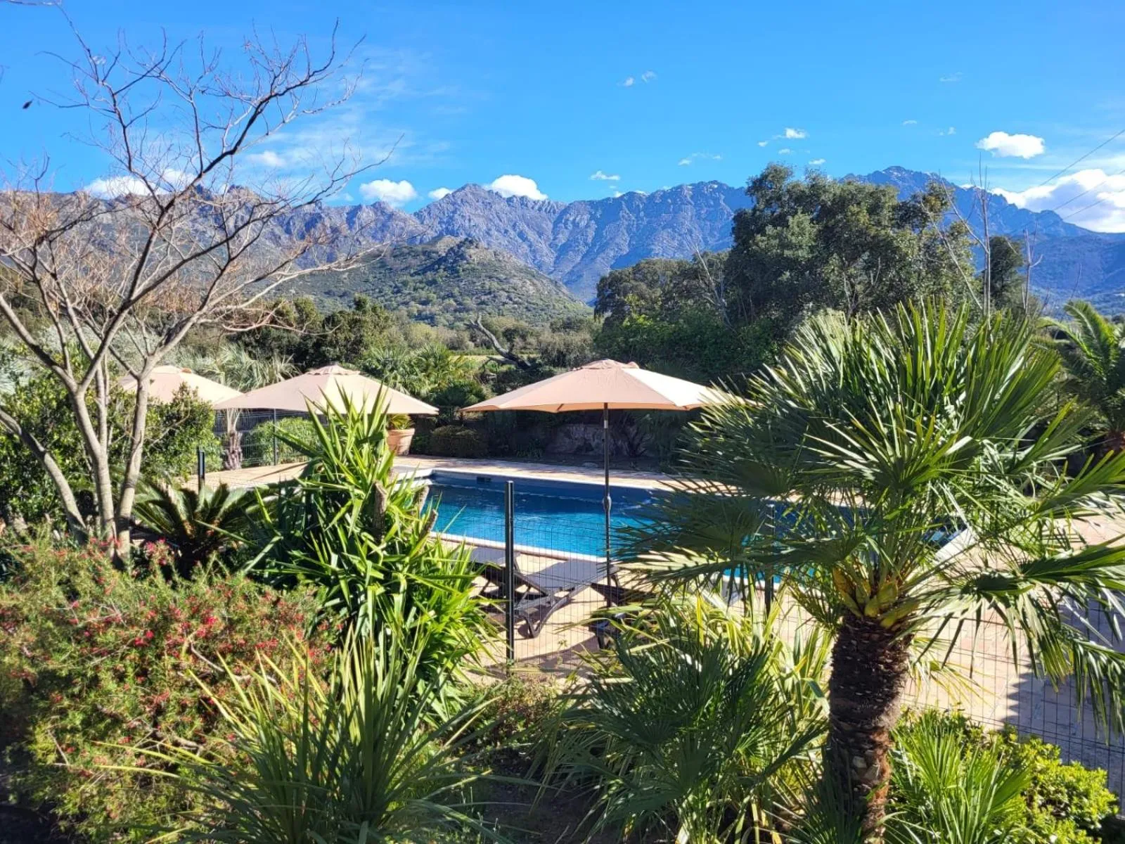 Swimming pool in Domaine du Reginu