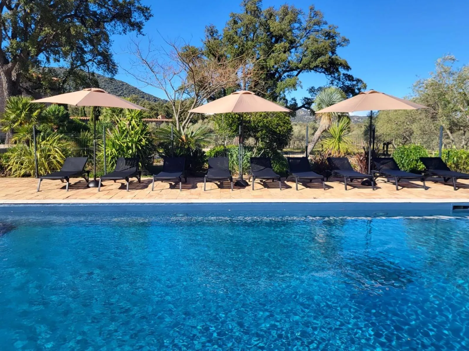 Swimming pool in Domaine du Reginu