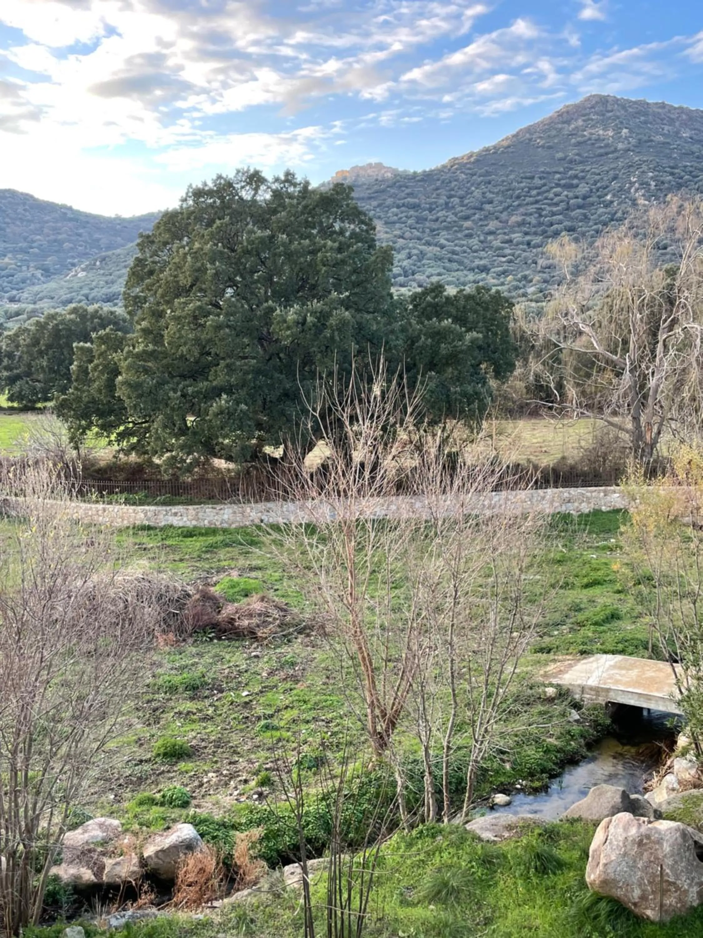 Natural landscape in Domaine du Reginu