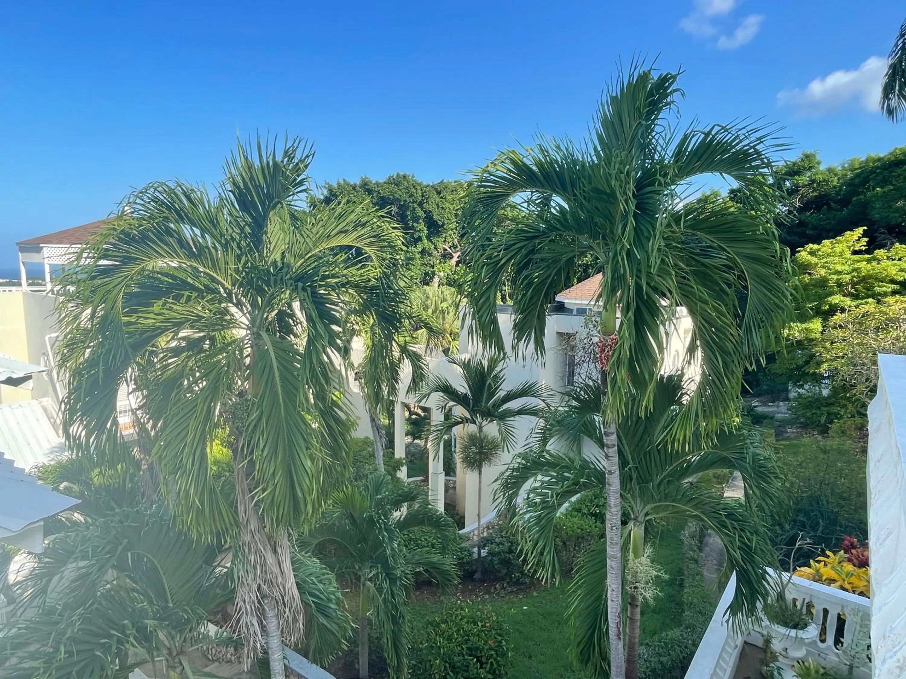 Natural landscape in Hummingbird Retreat - Luxury Oceanview Apt, 7-Minute Walk to Beach