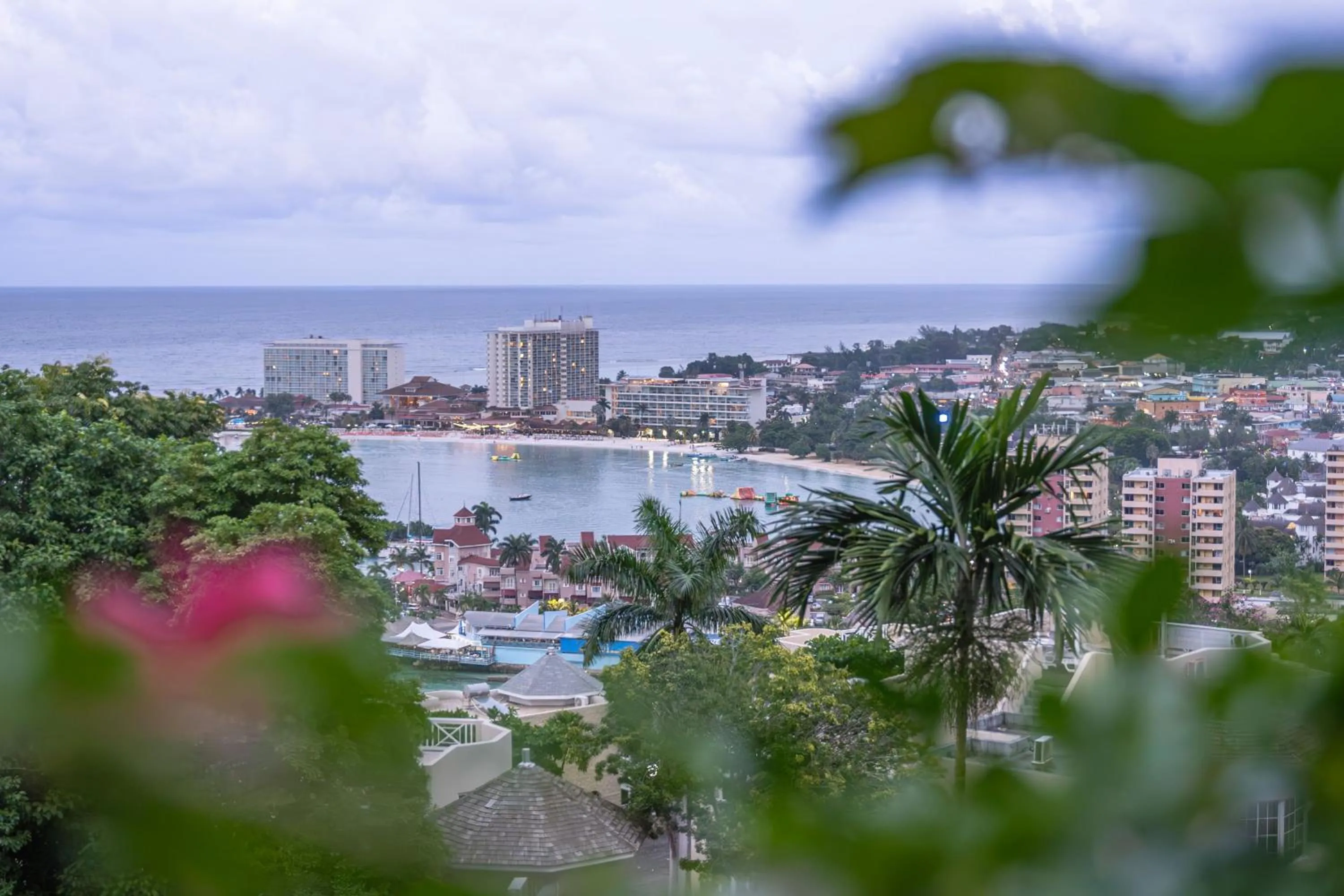 View (from property/room) in Hummingbird Retreat - Luxury Oceanview Apt, 7-Minute Walk to Beach