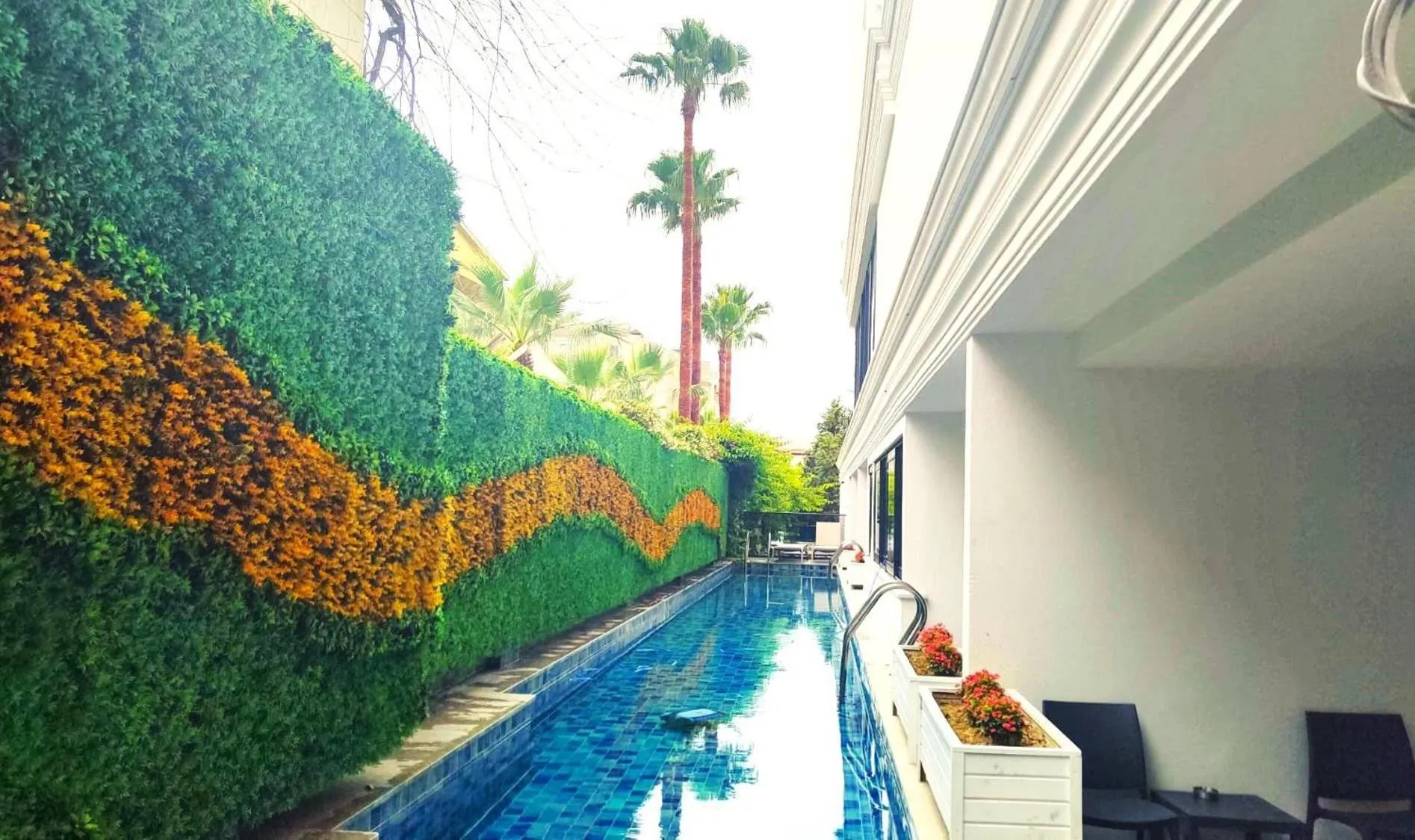 Swimming pool in Side Zeugma Hotel - Adult Only 16 Plus