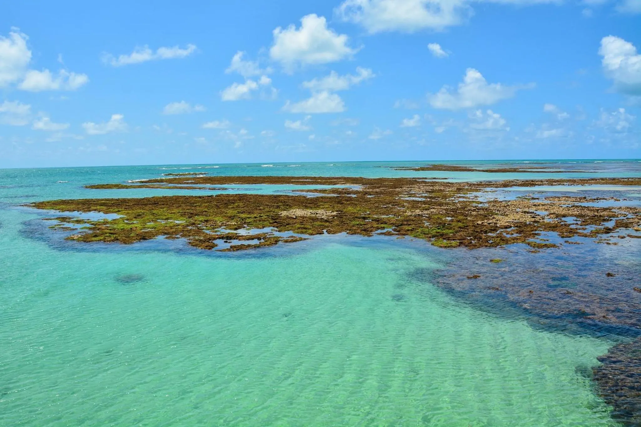 Apto Joao Pessoa/Cabedelo