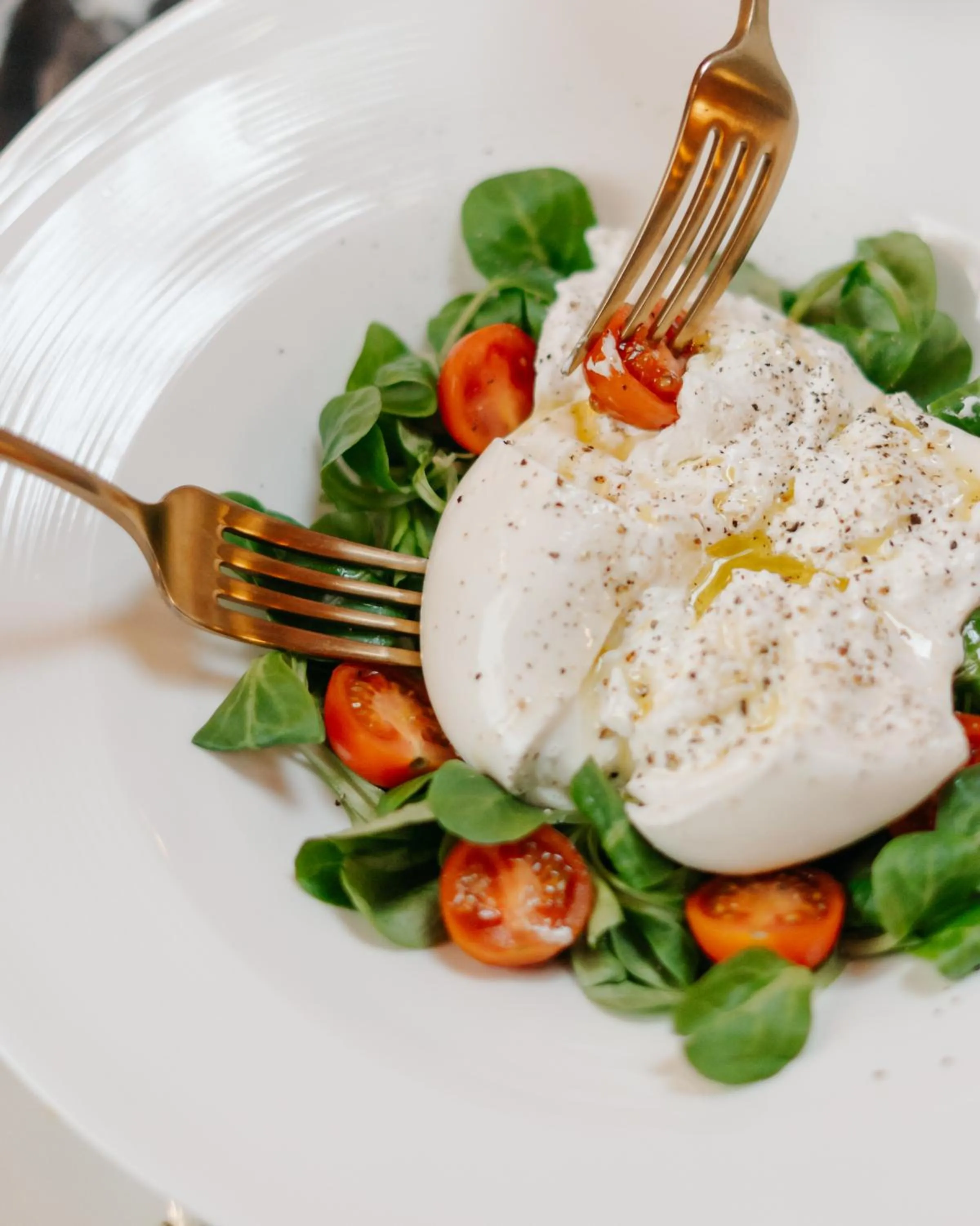 Food and drinks in Casa de las Artes, member of Meliá Collection