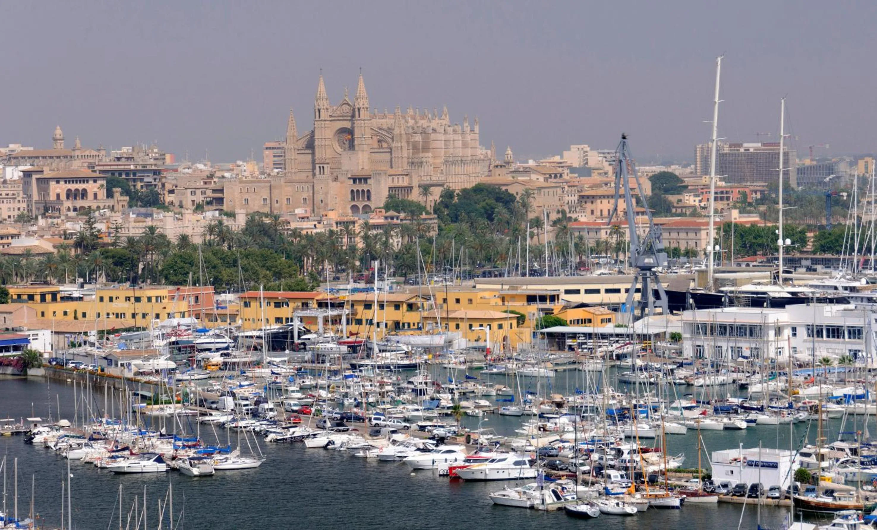 Area and facilities in Hotel Palma Bellver , Affiliated by Meliá