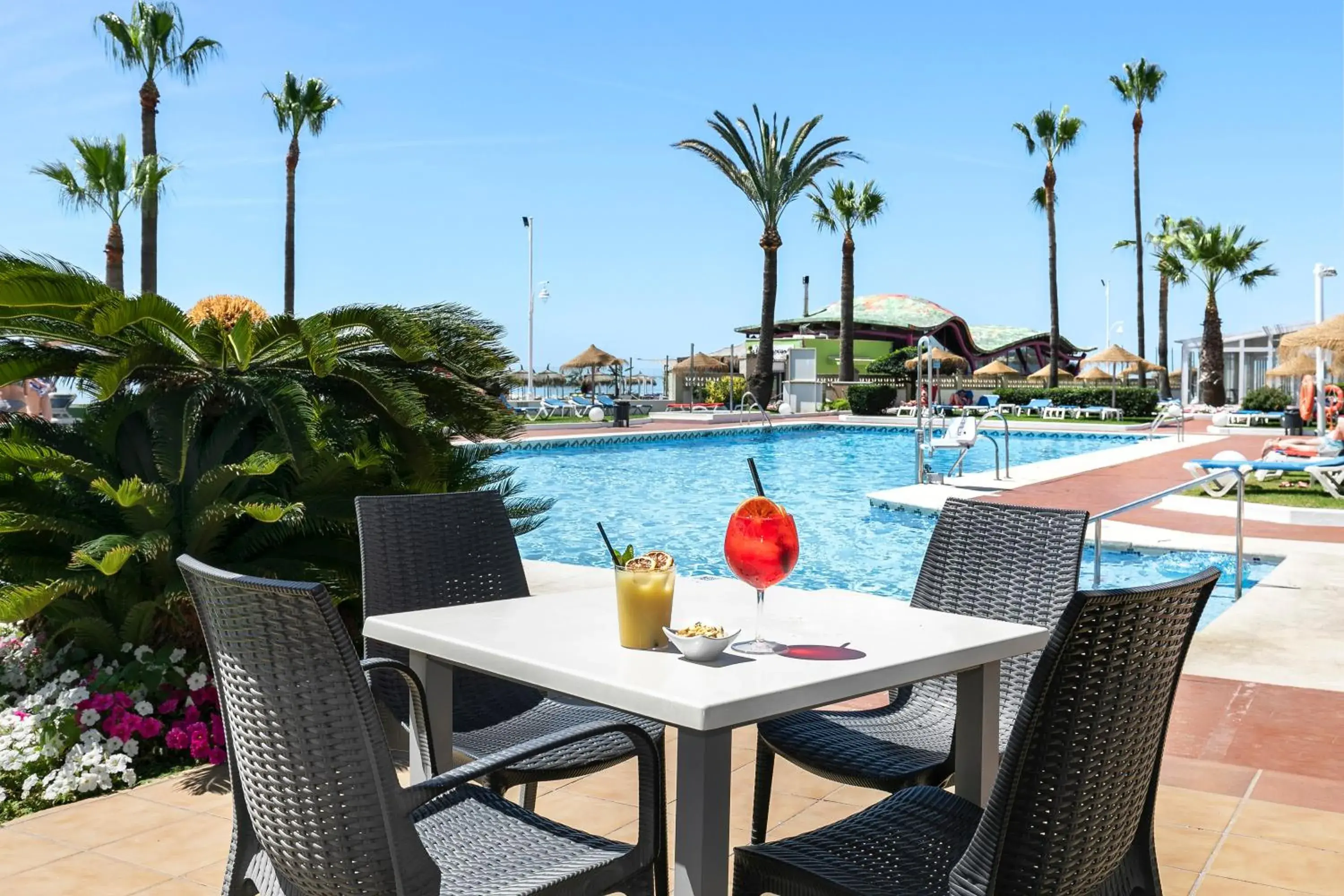 Food and drinks in Sol Guadalmar Food and drinks in Sol Guadalmar