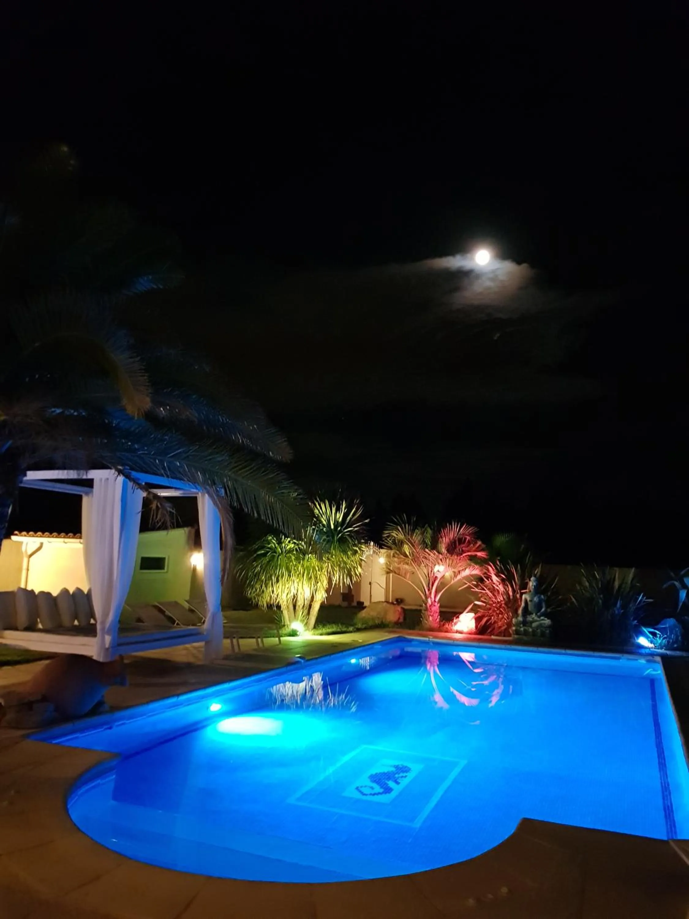 Pool view in Appartement Carpe diem