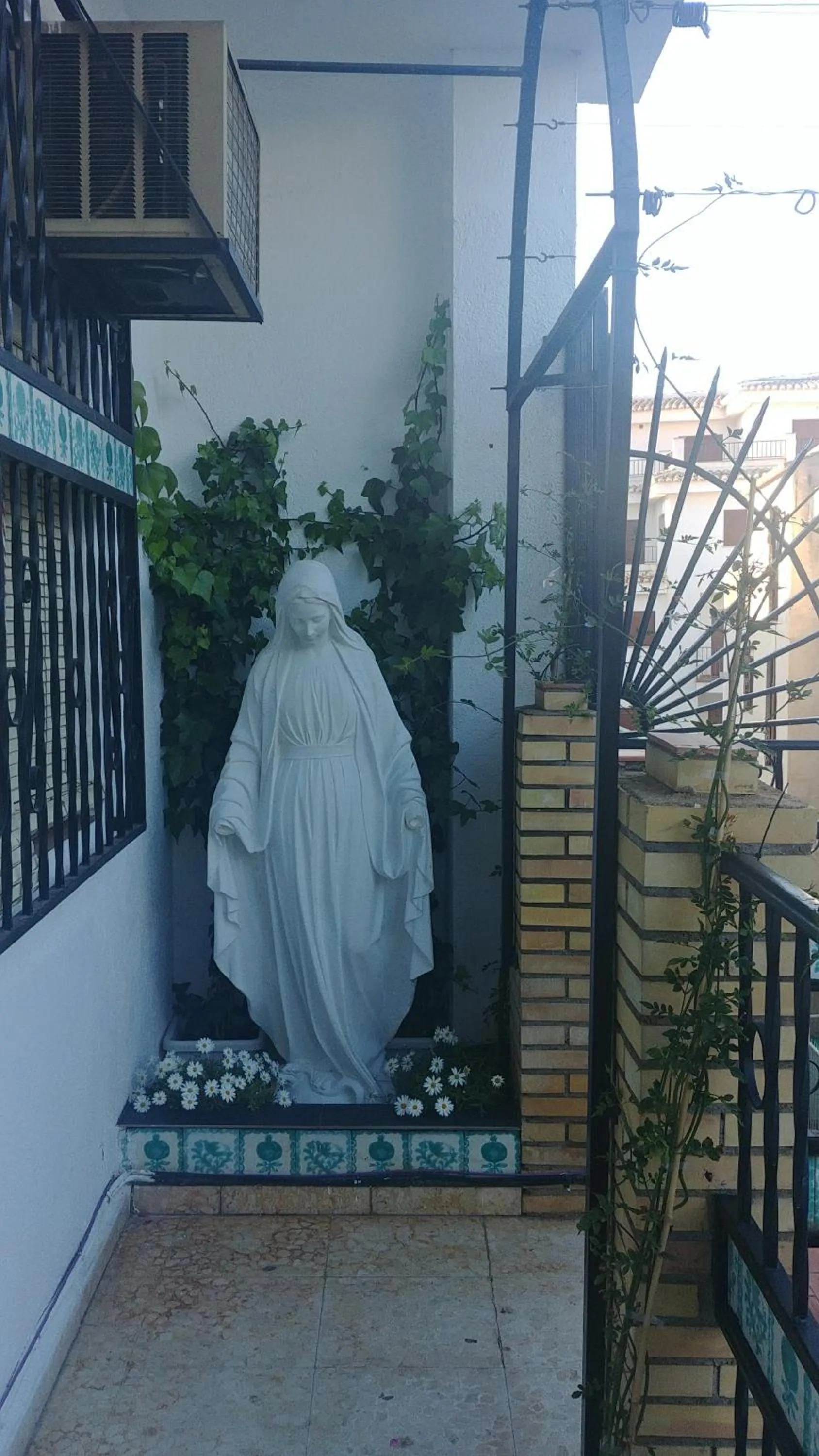 Area and facilities in Hotel Lanjaron