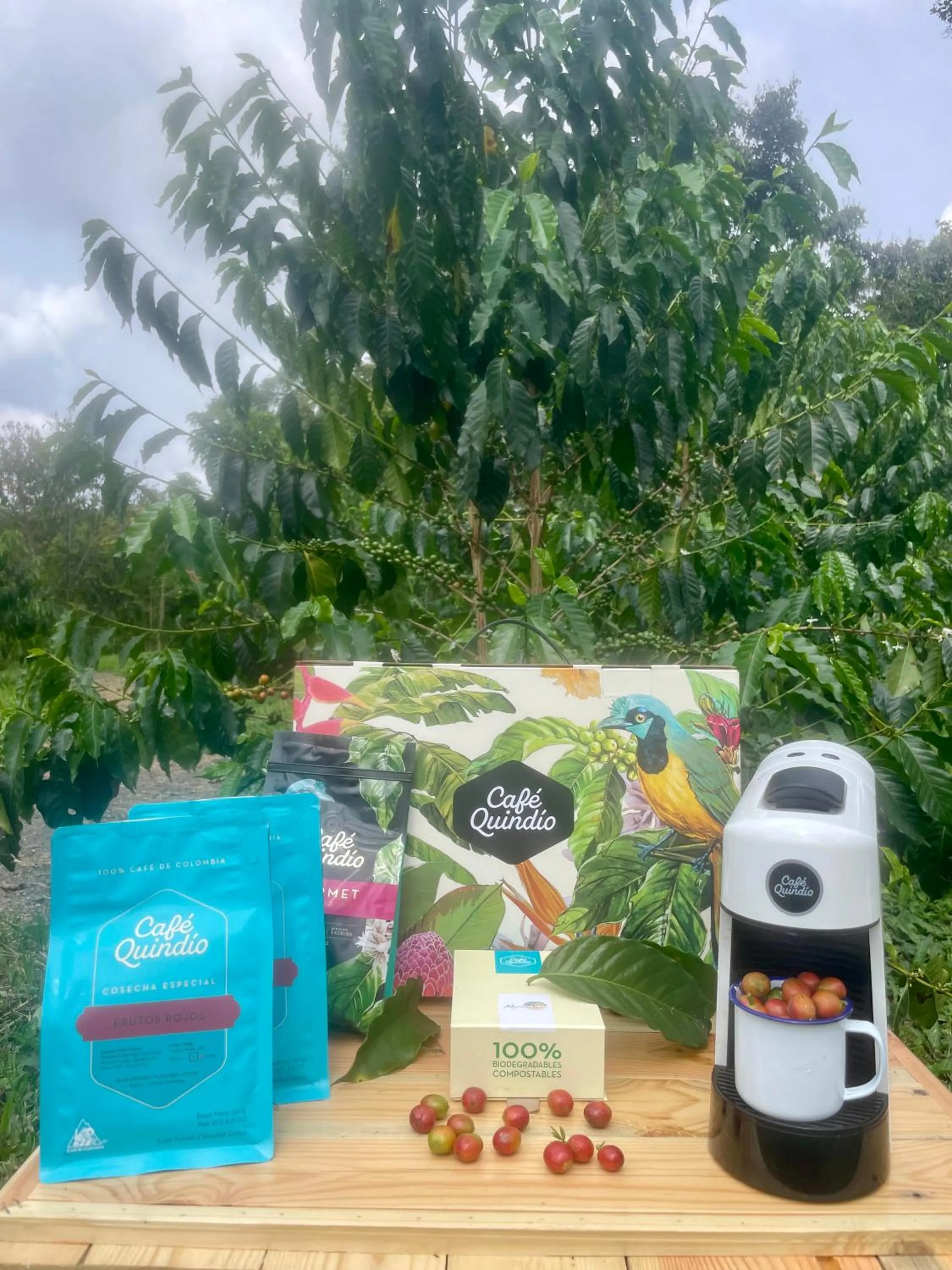 Coffee/tea facilities in Ecohotel Alma