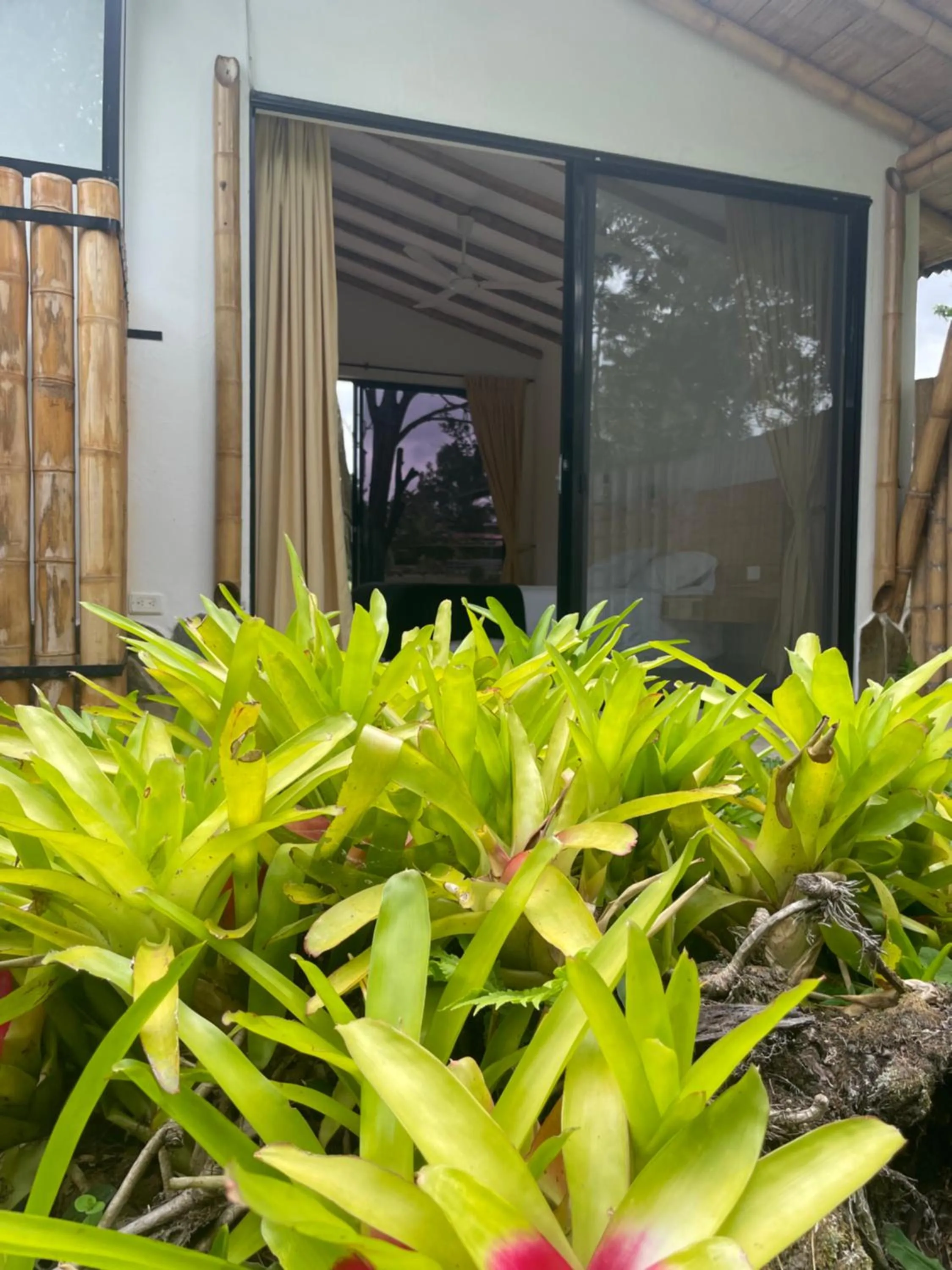 Garden in Ecohotel Alma