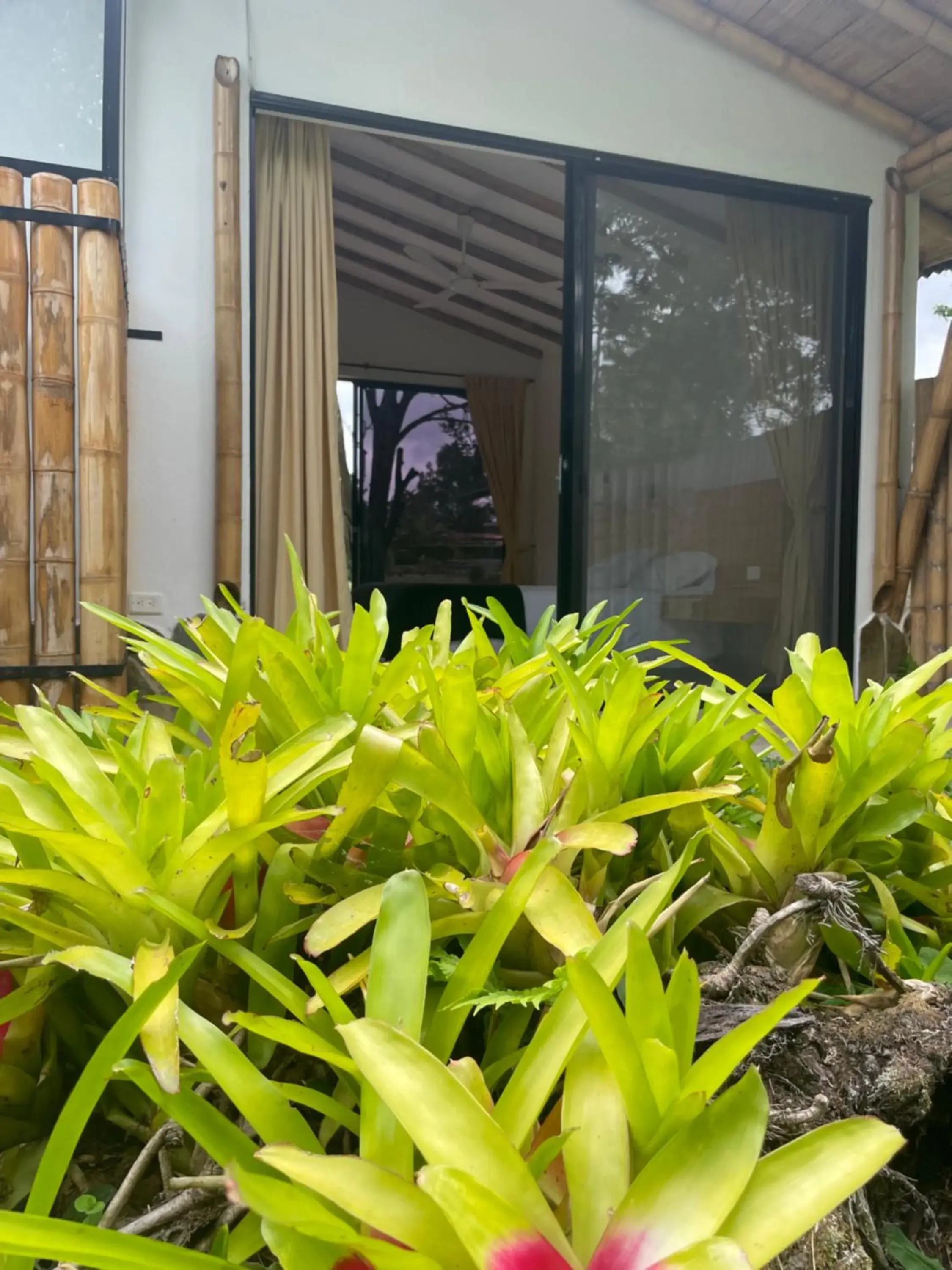 Standard Double Room in Ecohotel Alma Standard Double Room in Ecohotel Alma