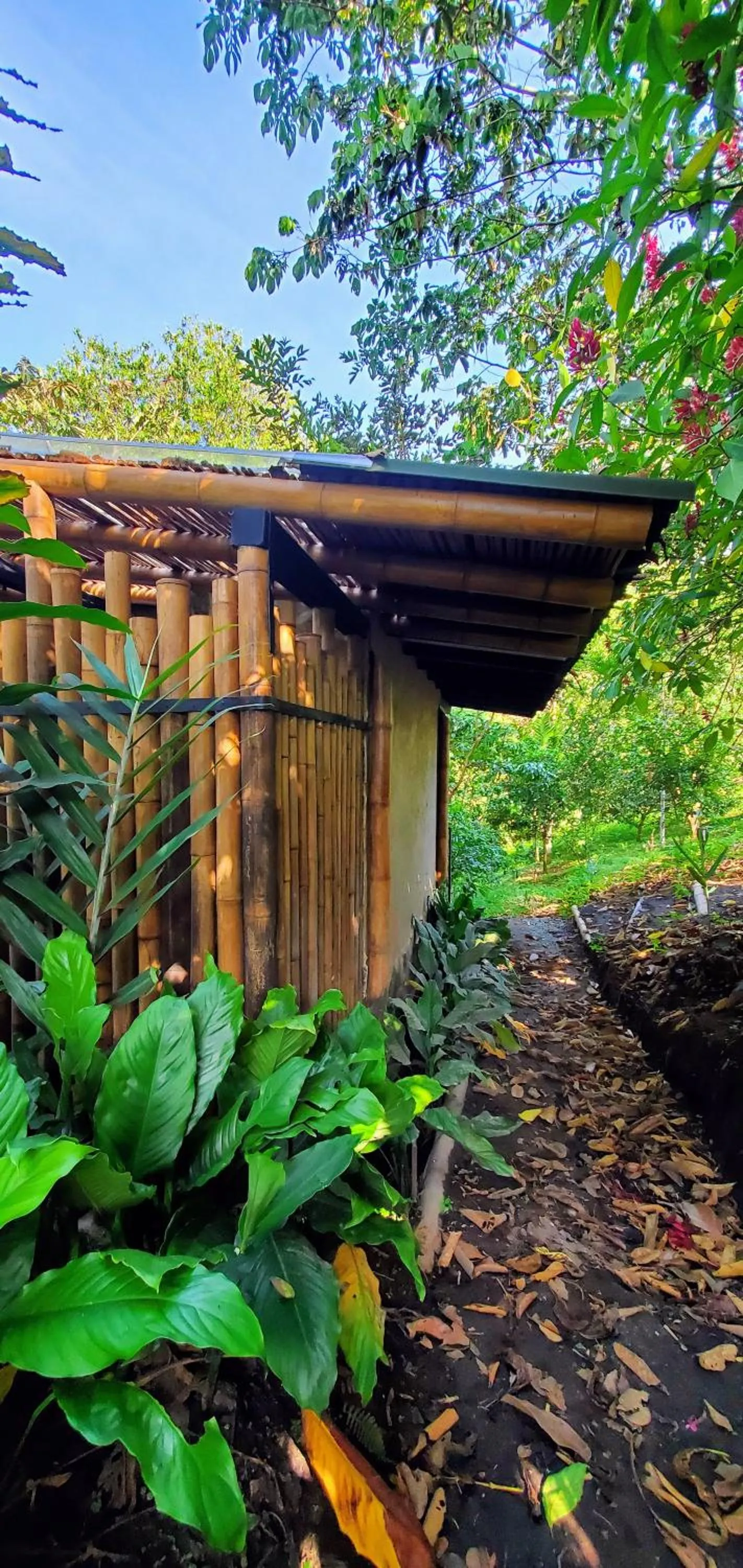 Garden view in Ecohotel Alma
