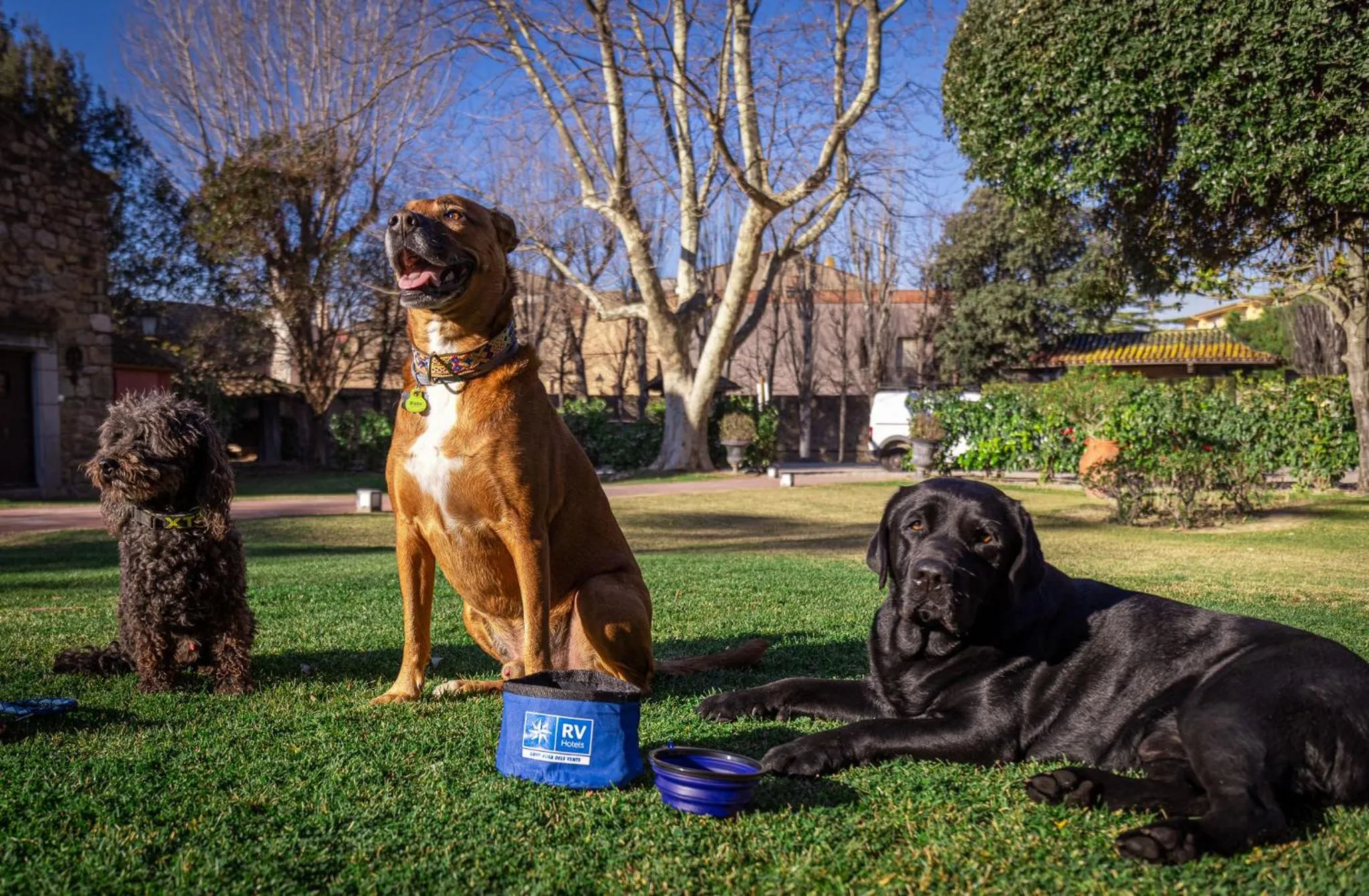 Animals in RVHotels Golf Costa Brava