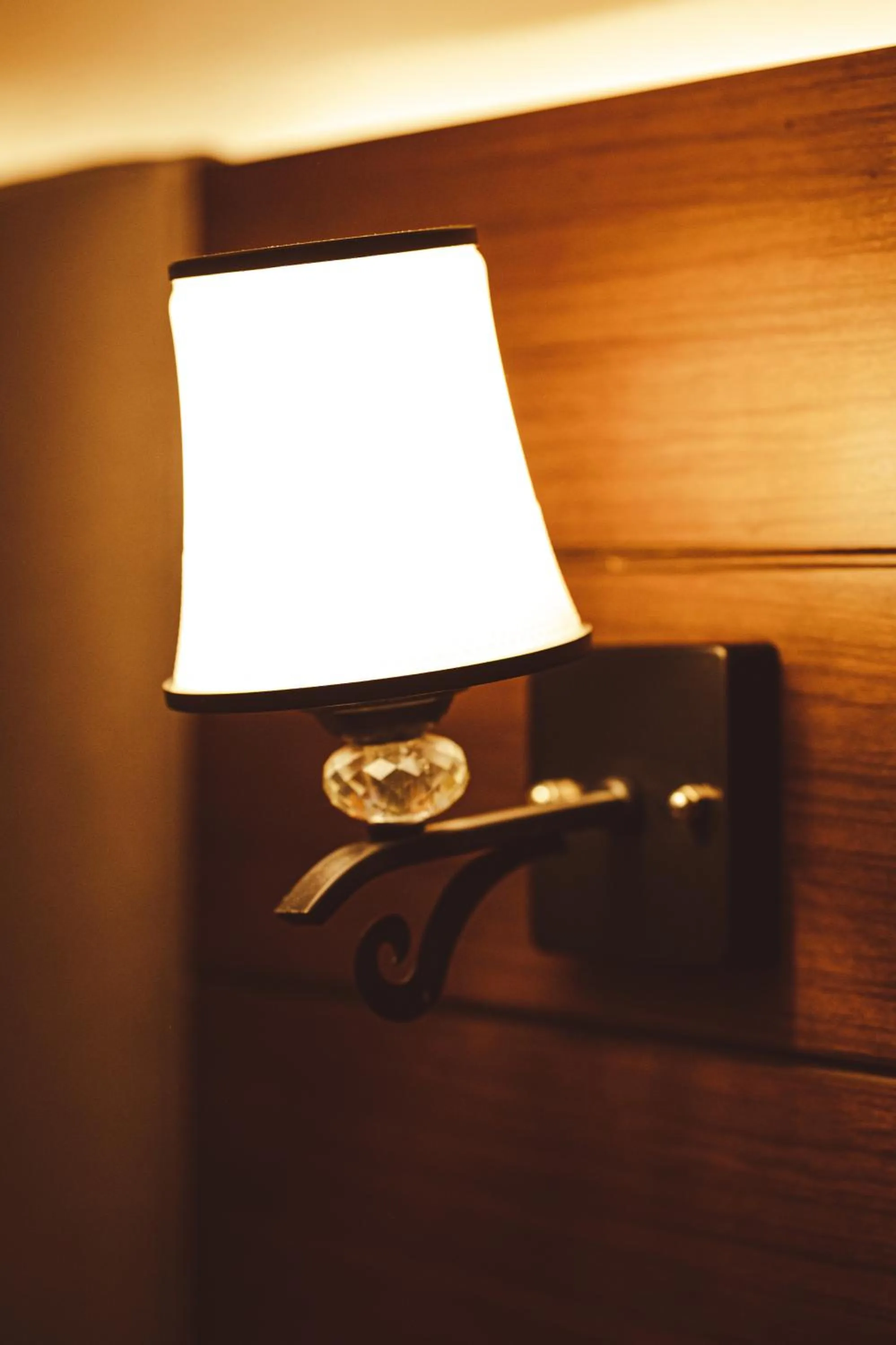 Decorative detail in Hotel Ama-La, Thamel, Kathmandu