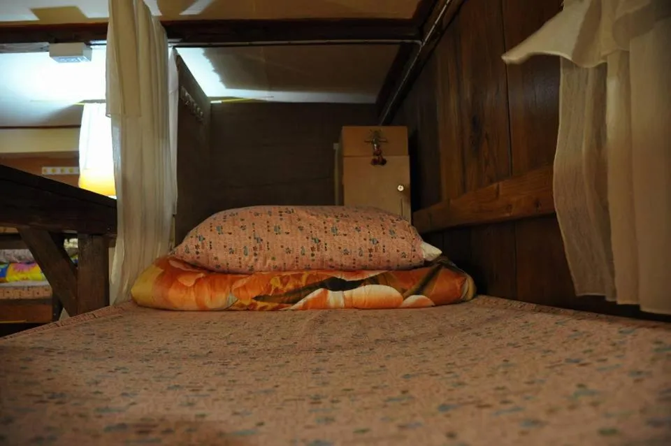 Cactus Hostel