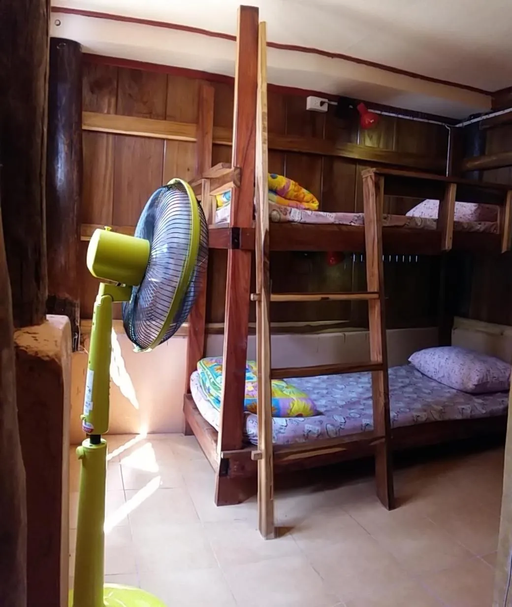 Cactus Hostel