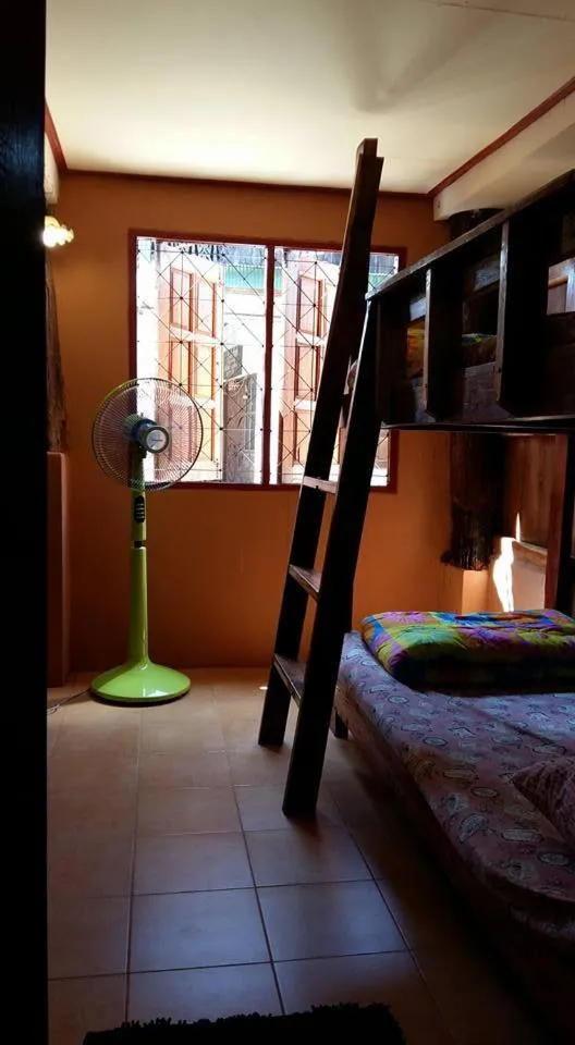 Cactus Hostel