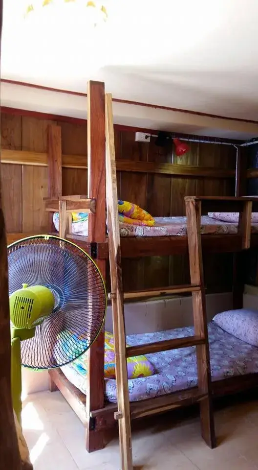 Budget Twin Room in Cactus Hostel Budget Twin Room in Cactus Hostel