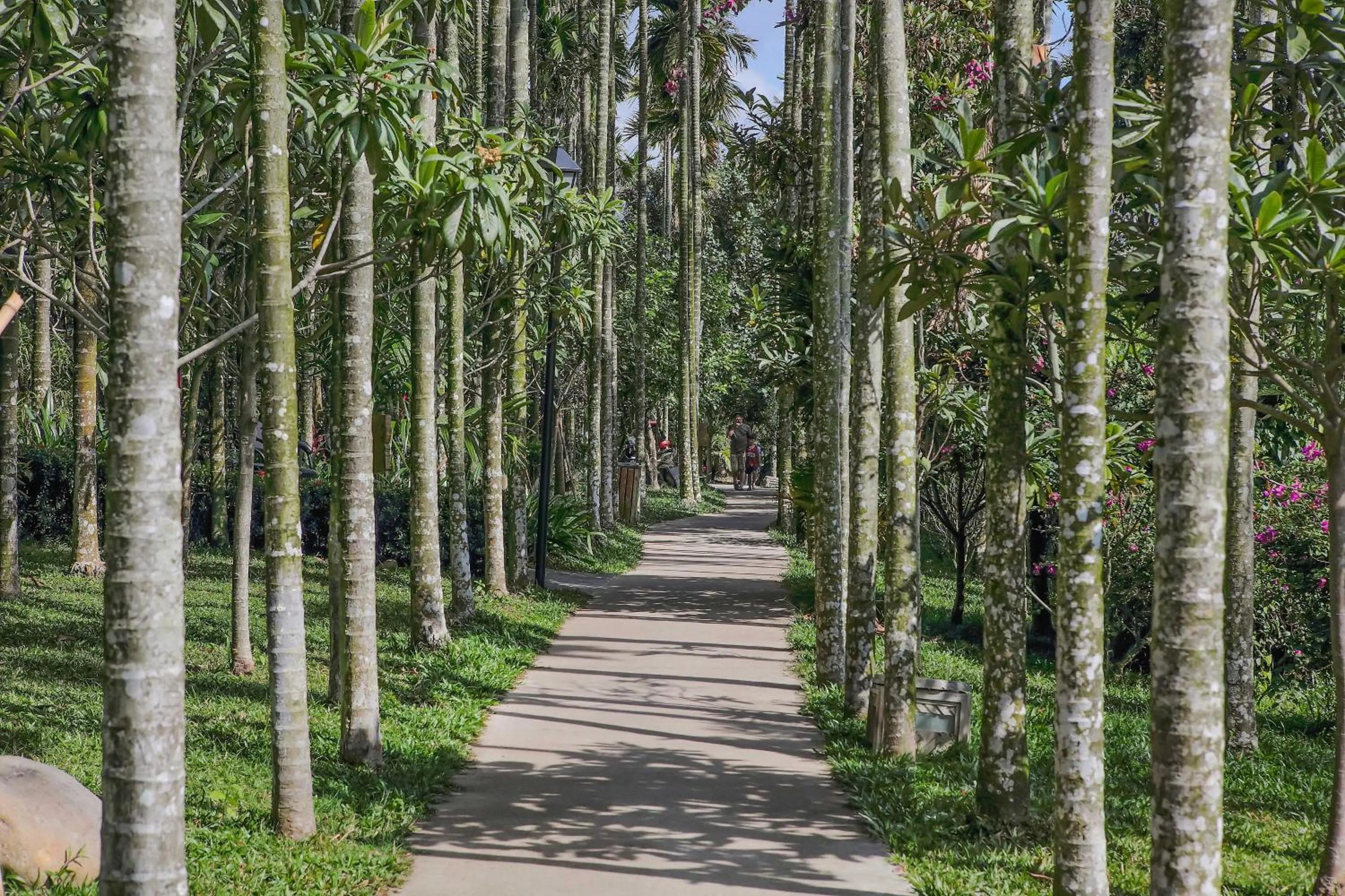 Natural landscape in The Yun Collection Sanya