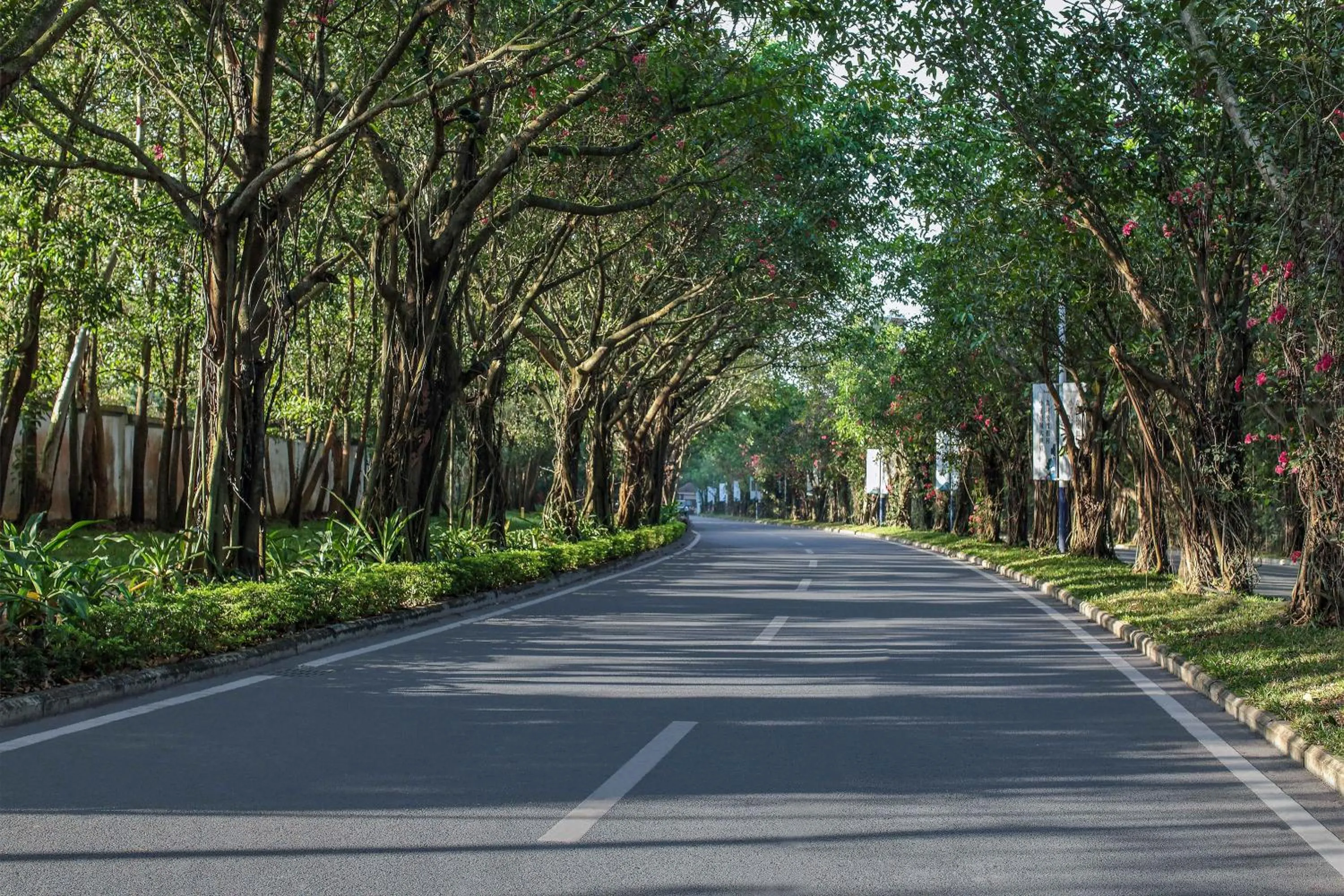 Neighbourhood in The Yun Collection Sanya