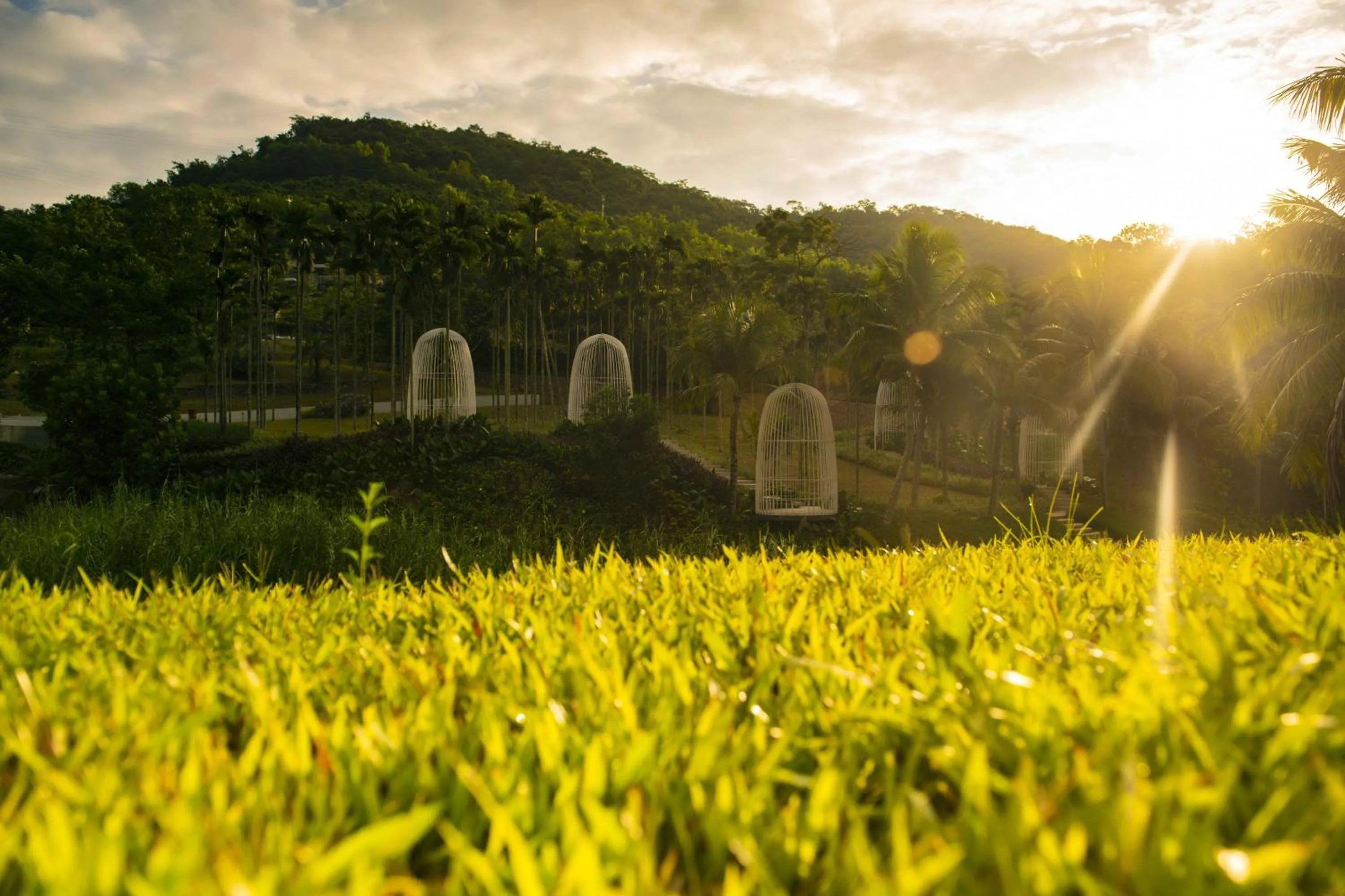 Natural landscape in The Yun Collection Sanya
