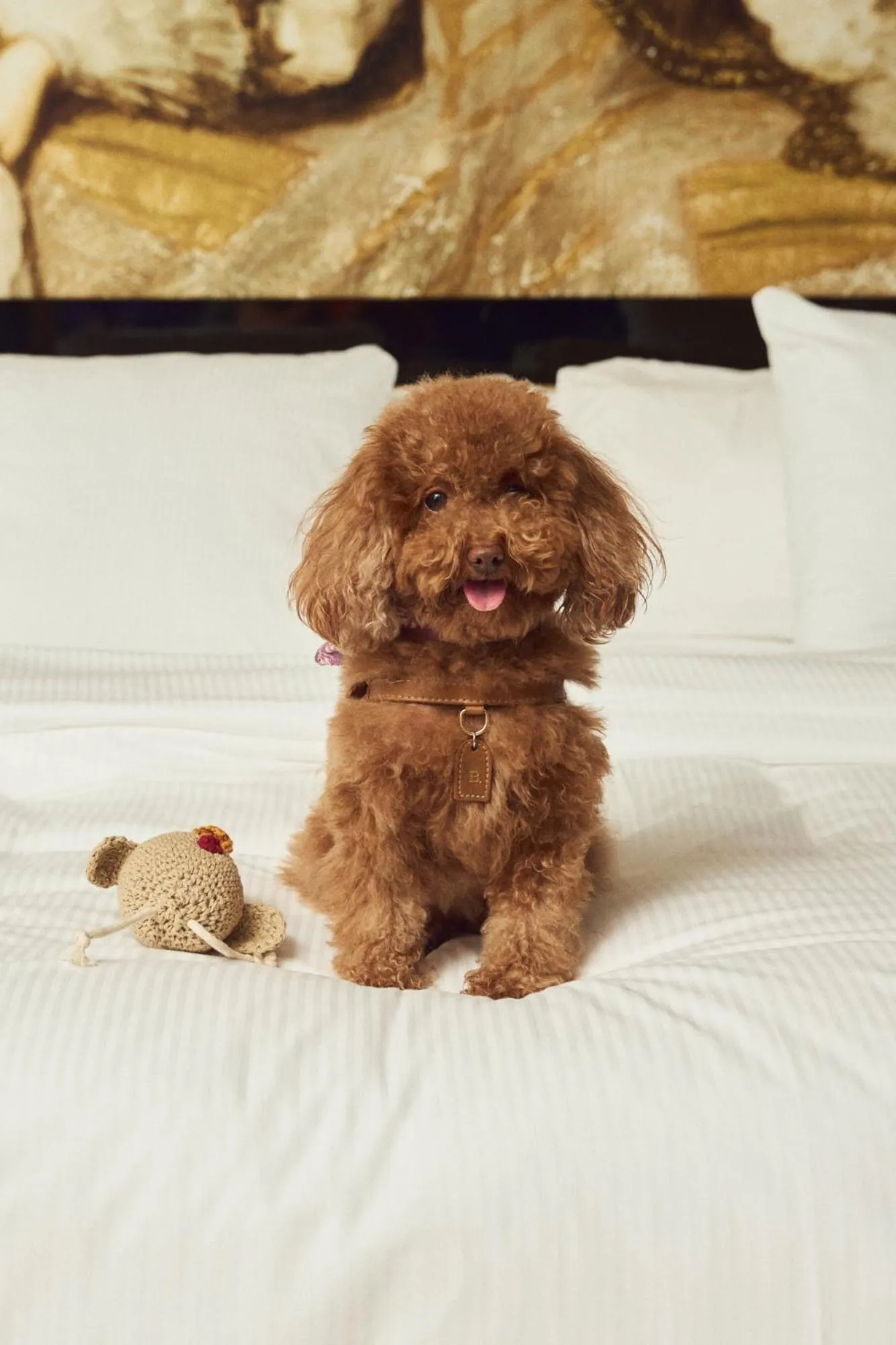 Animals in Palacio de los Duques Gran Meliá - The Leading Hotels of the World