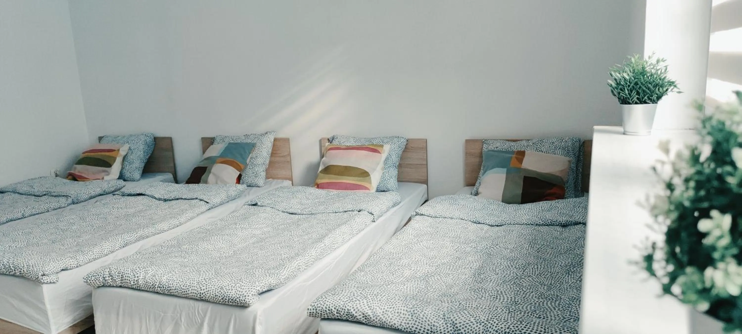 Photo of the whole room, Bed in Tanie spanie przy Malcie - Zameldowanie bezobsługowe -