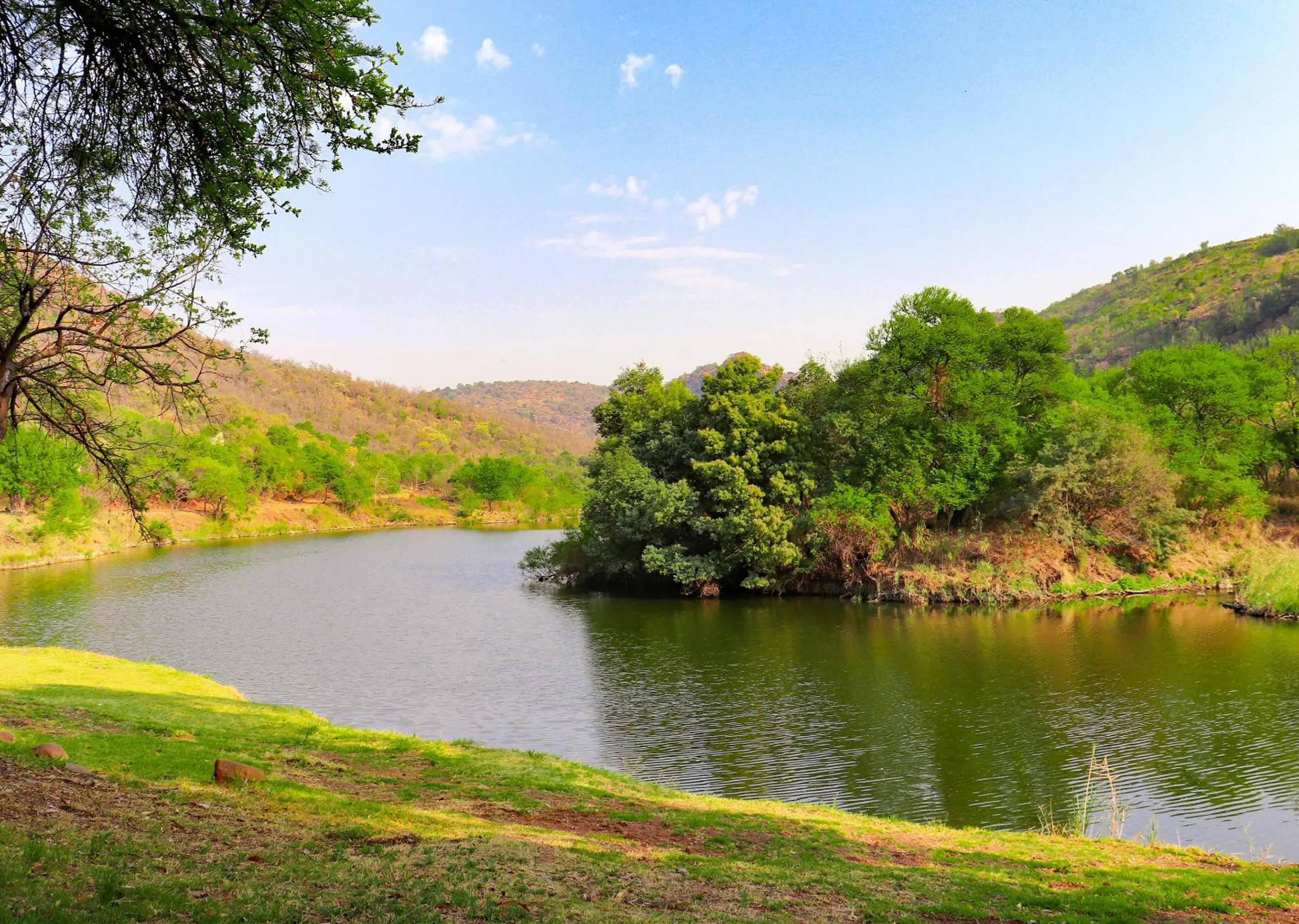 View (from property/room) in Olifants River Lodge by Dream Resorts
