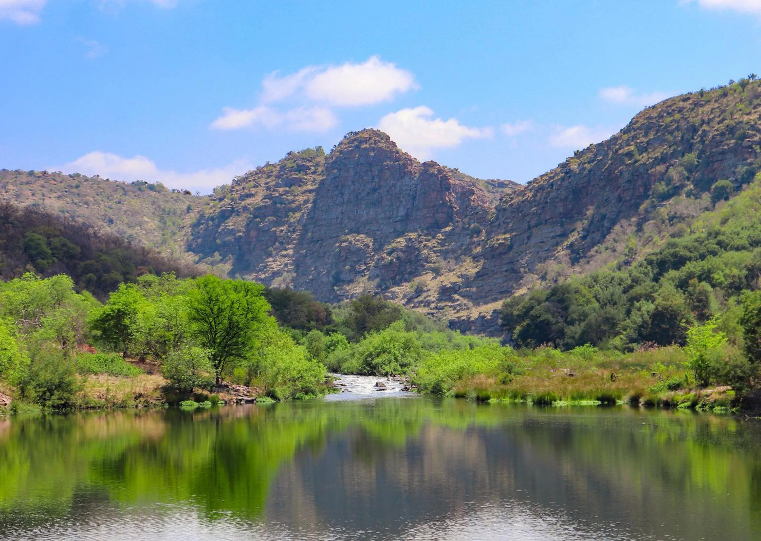 View (from property/room) in Olifants River Lodge by Dream Resorts