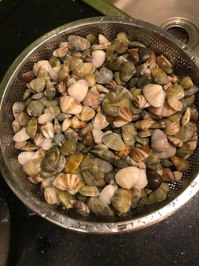 Activities in Kalia Hotel