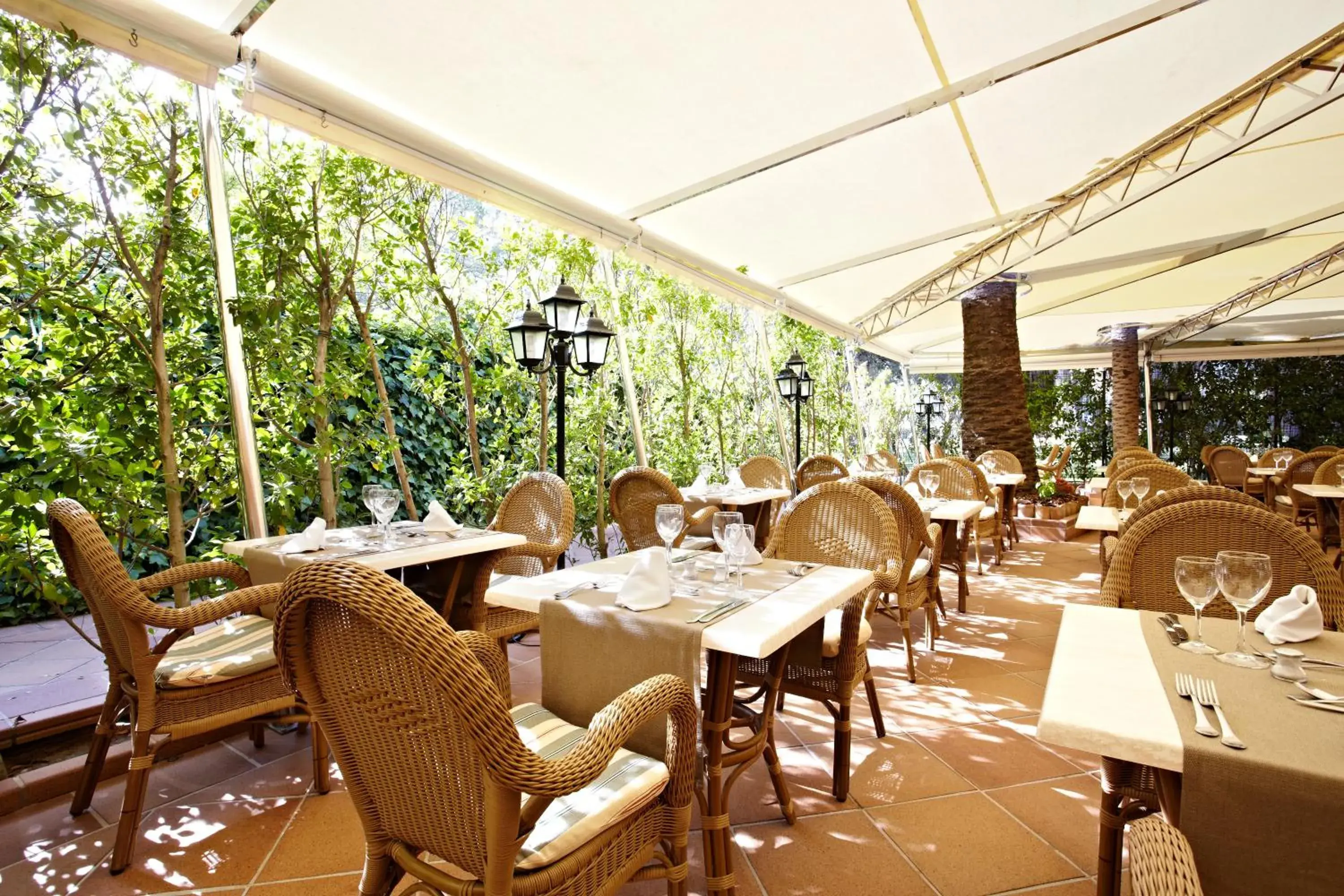 Restaurant/places to eat in Grupotel Maritimo Restaurant/places to eat in Grupotel Maritimo