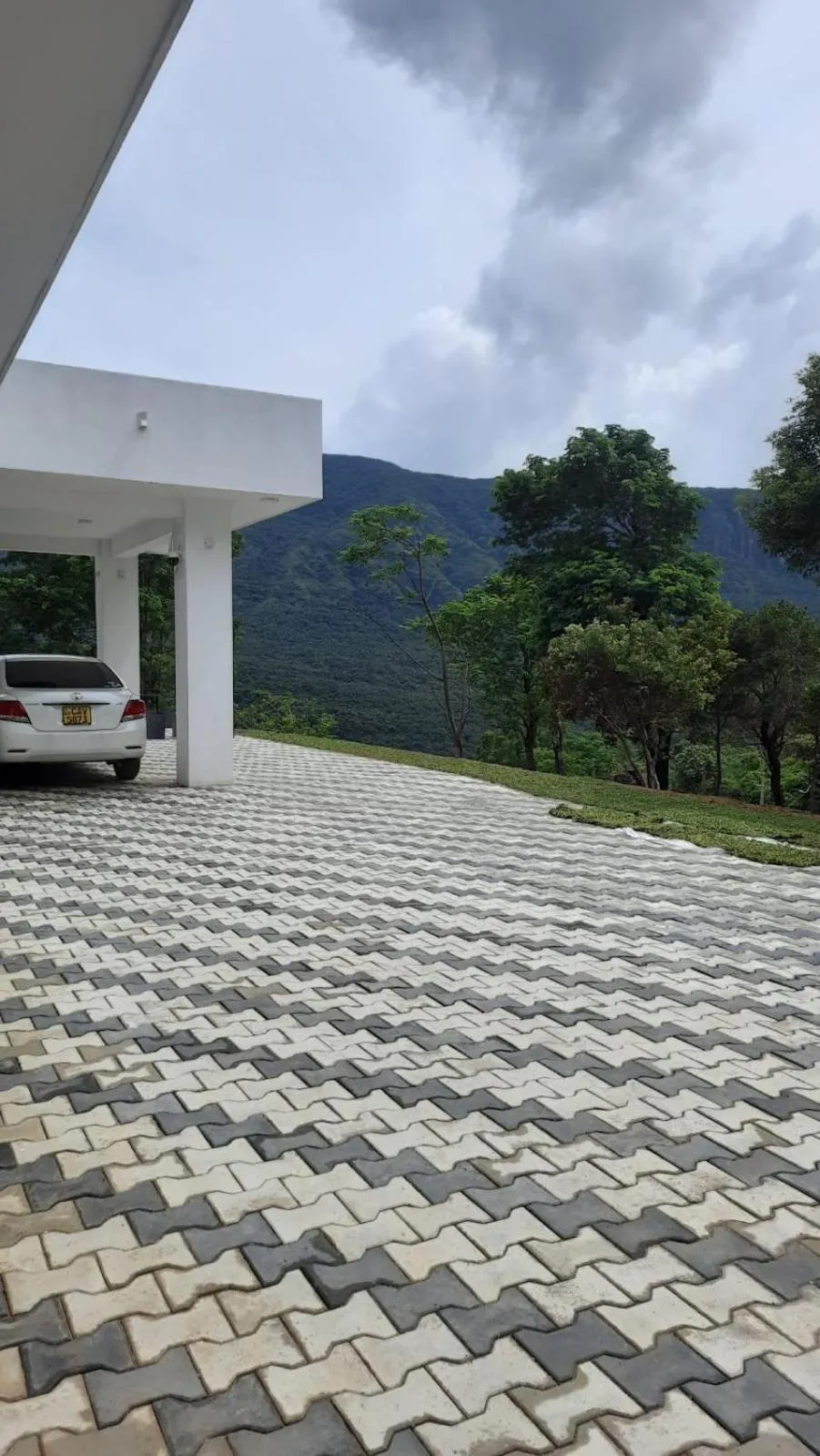 Garden in CRYSTAL RIVERSTON DECK