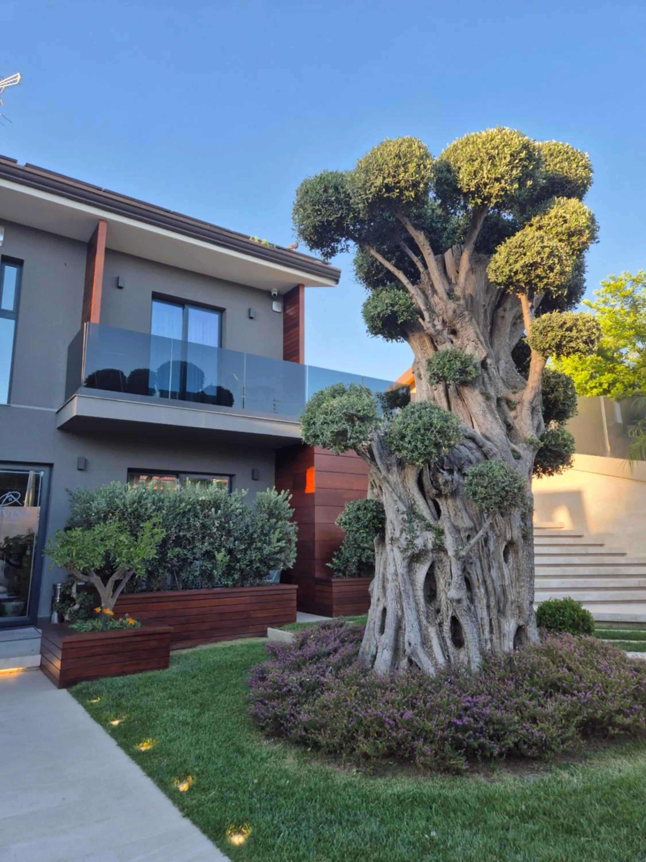 Property building in Divina Charme