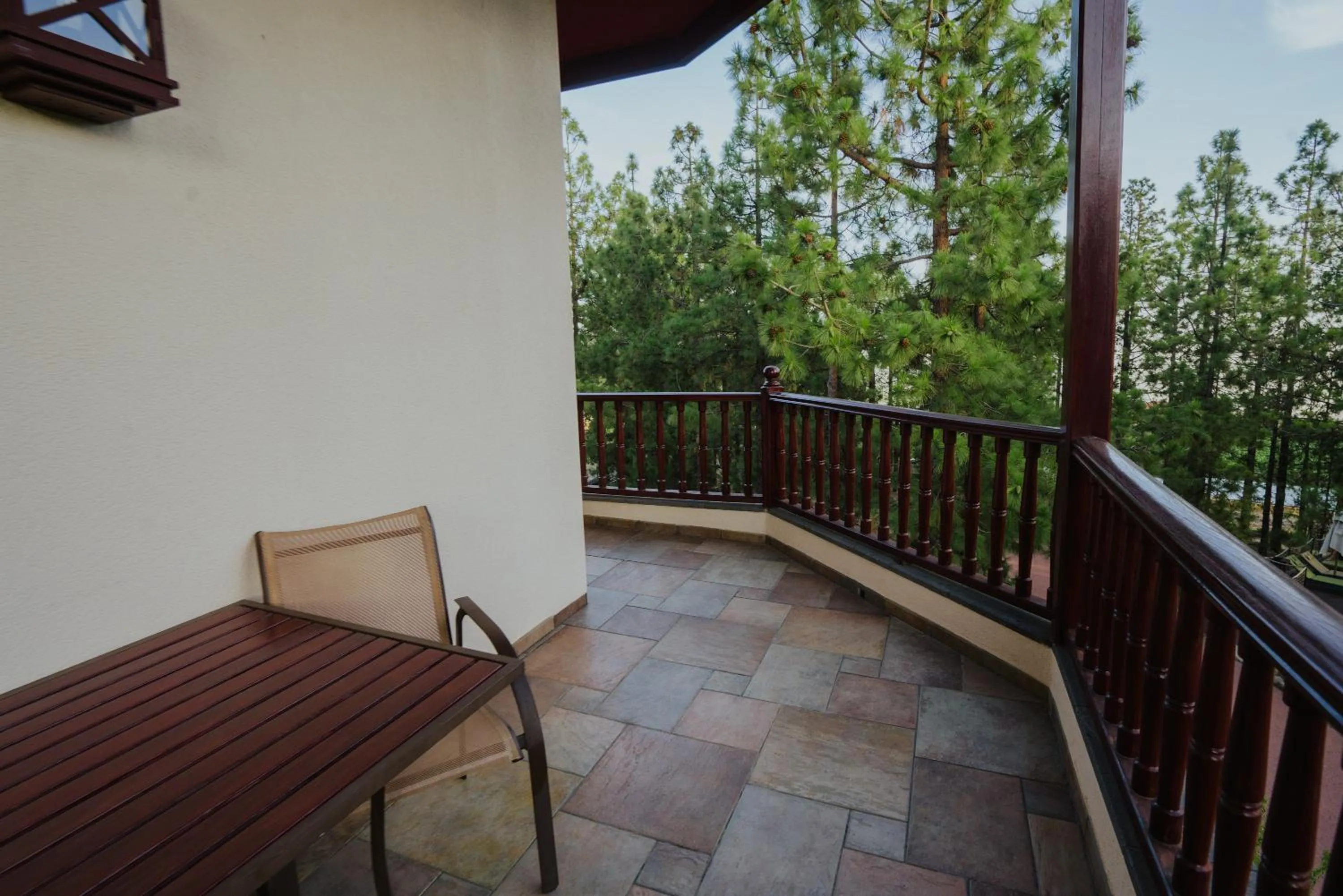 Garden view in Hotel Spa Villalba