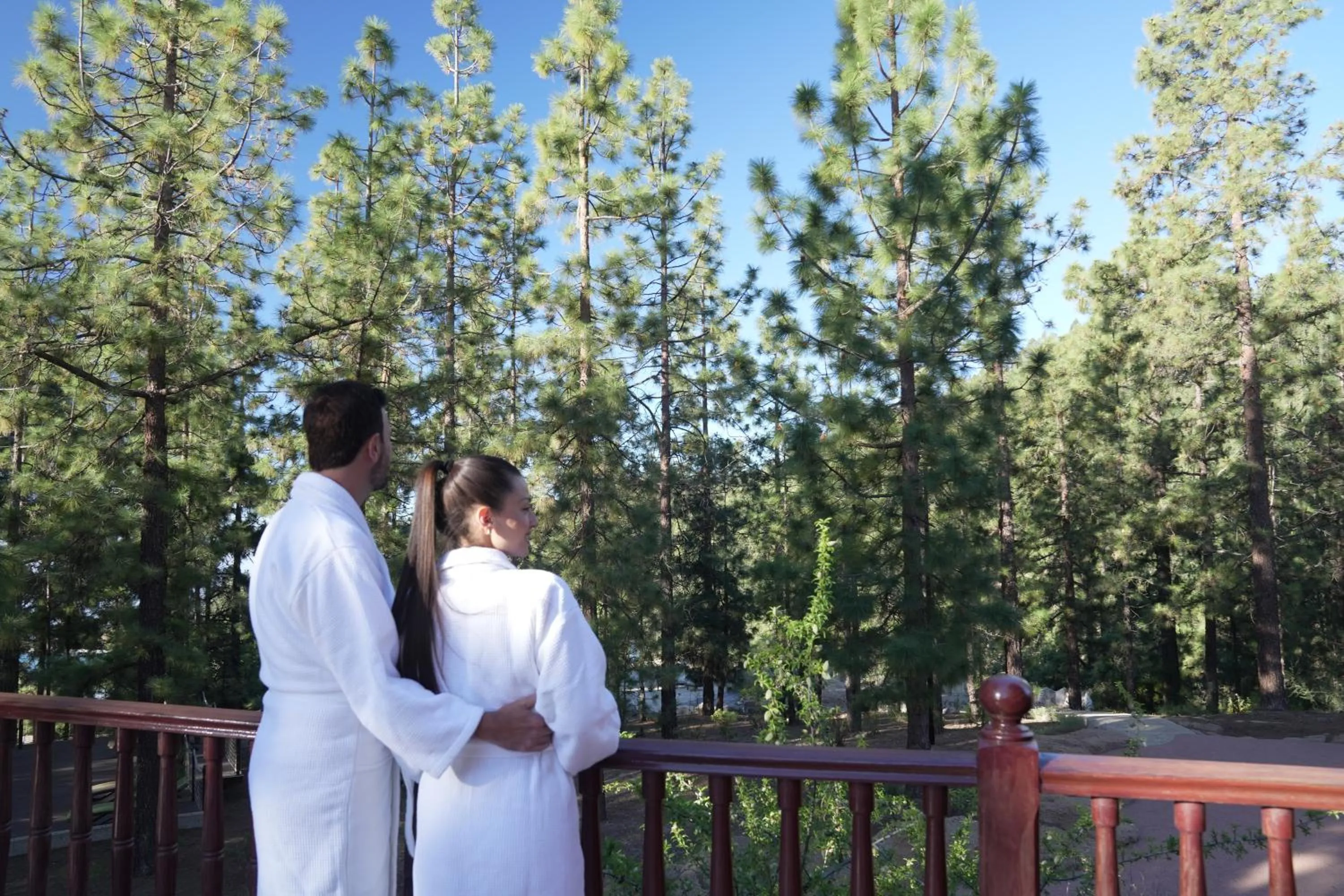 Natural landscape in Hotel Spa Villalba