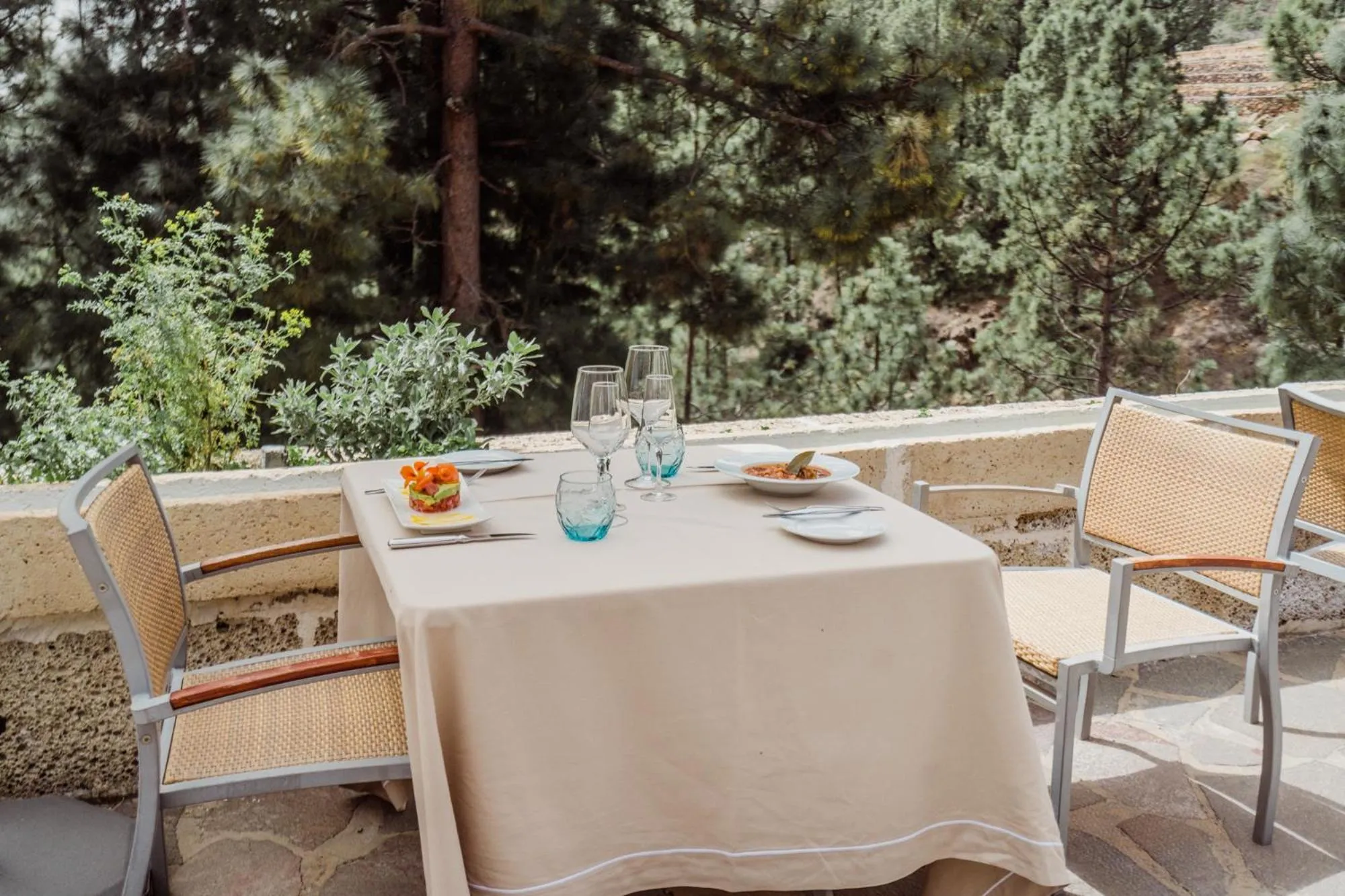 Garden in Hotel Spa Villalba