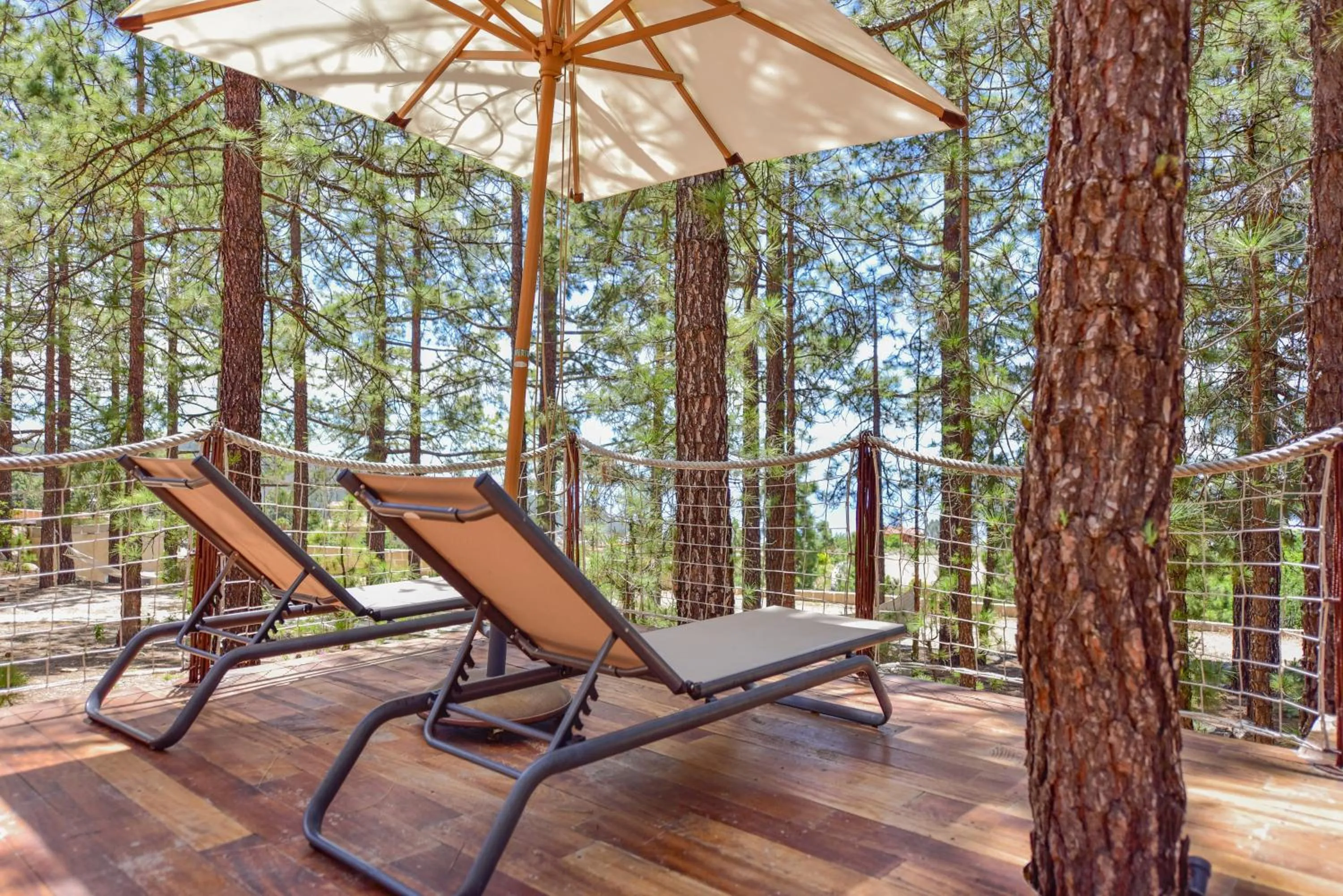 Natural landscape in Hotel Spa Villalba