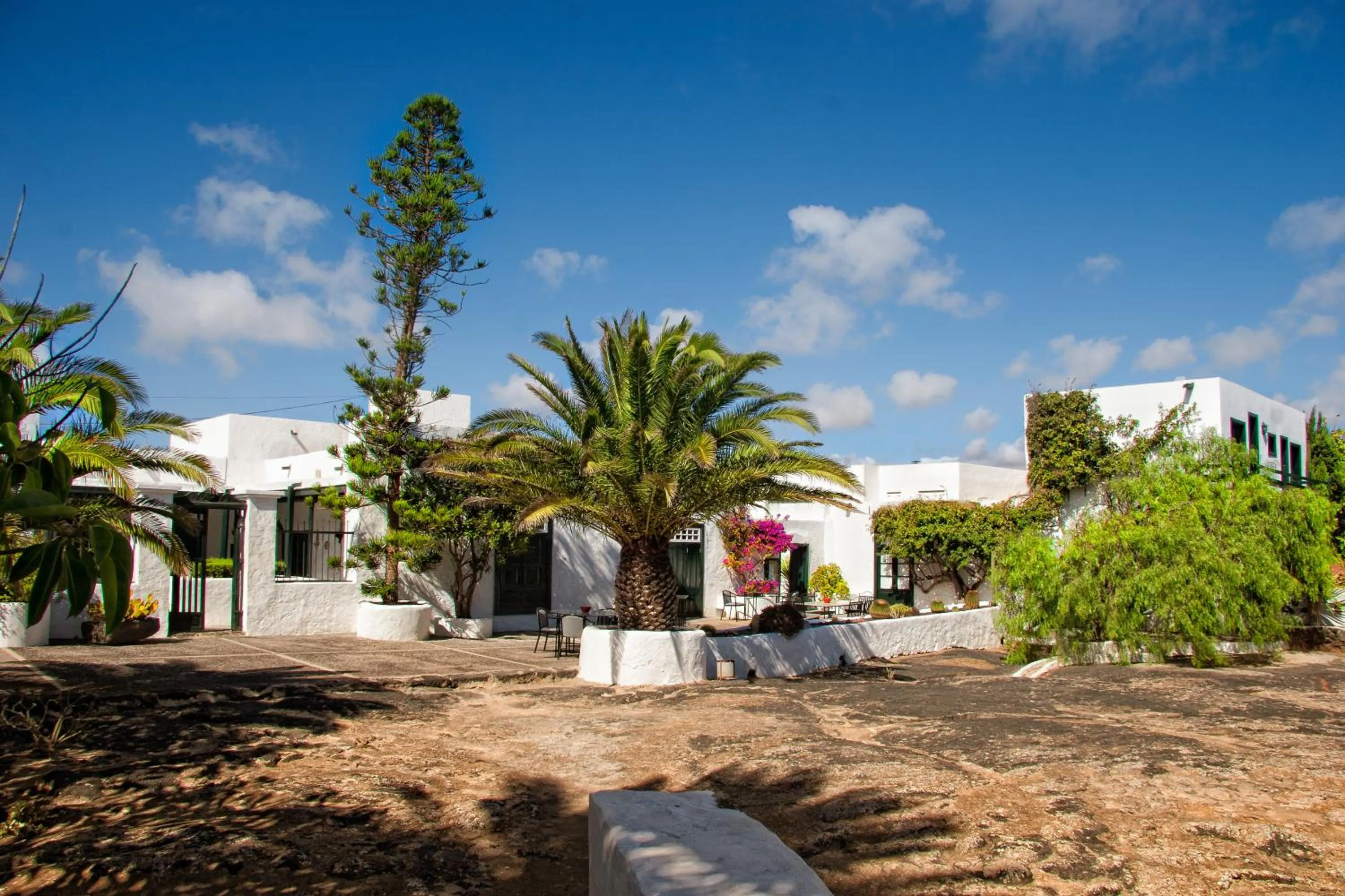 Garden in Hotel EL GRIFO