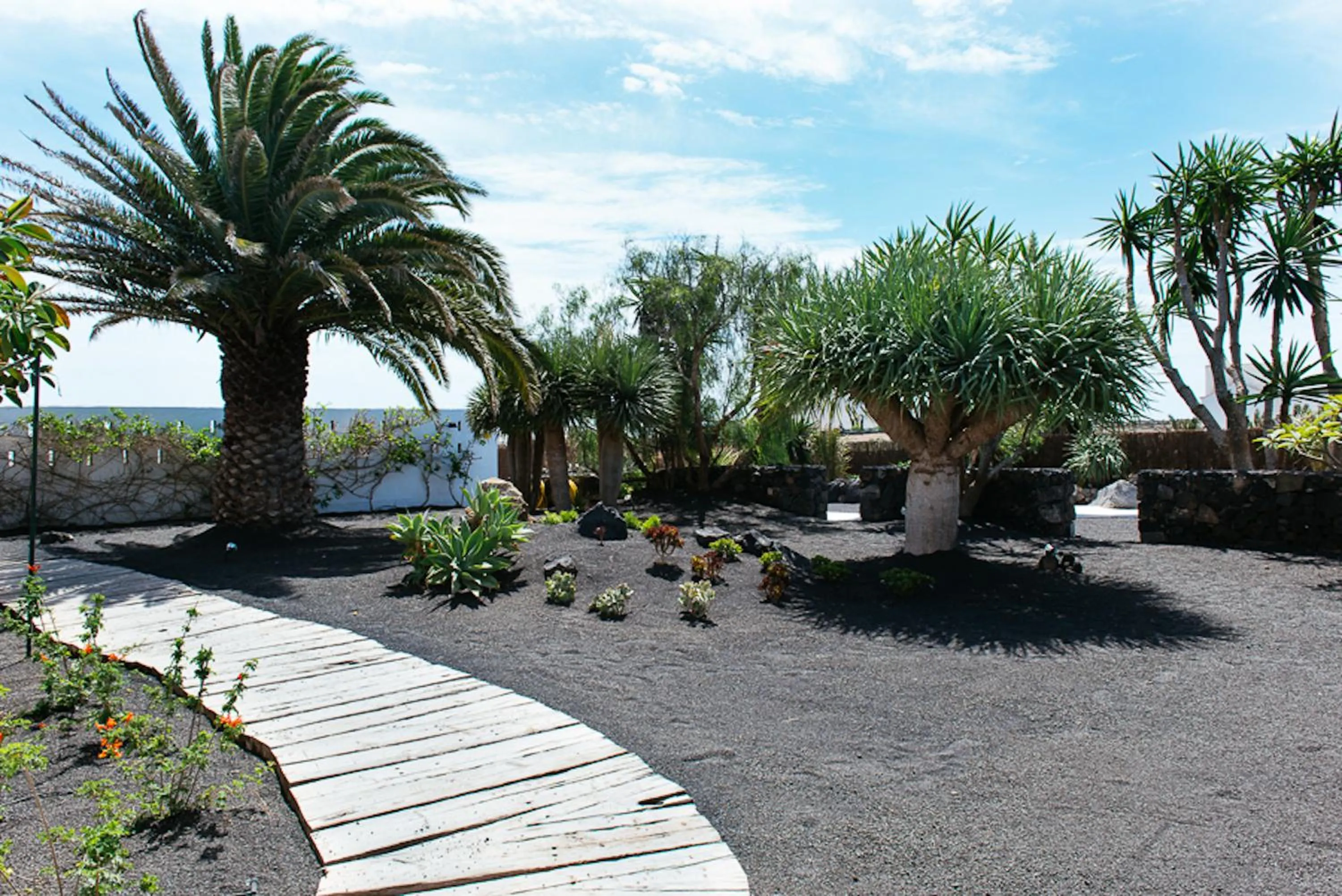 Garden in Hotel EL GRIFO