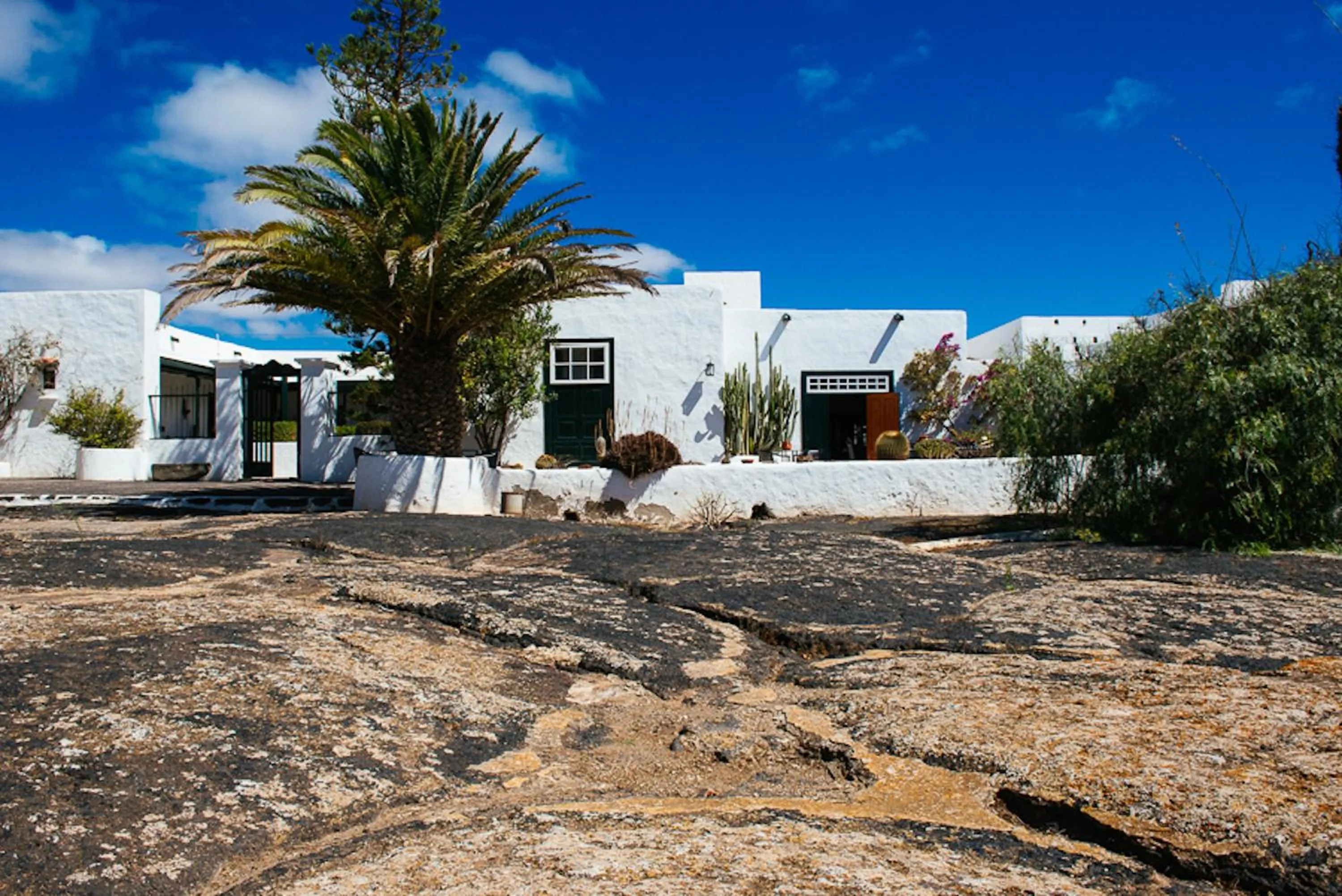Facade/entrance in Hotel EL GRIFO